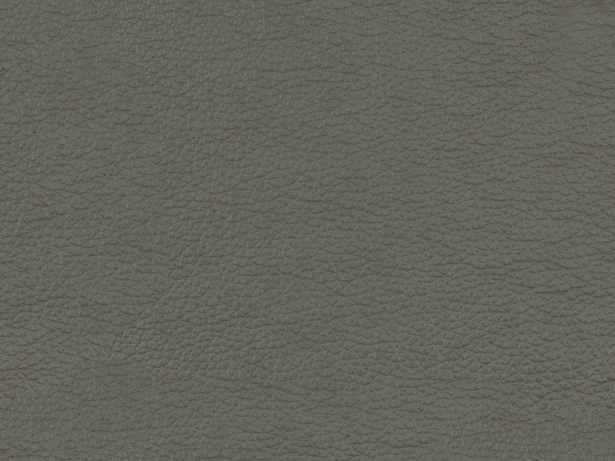 Shark Skin 50623L