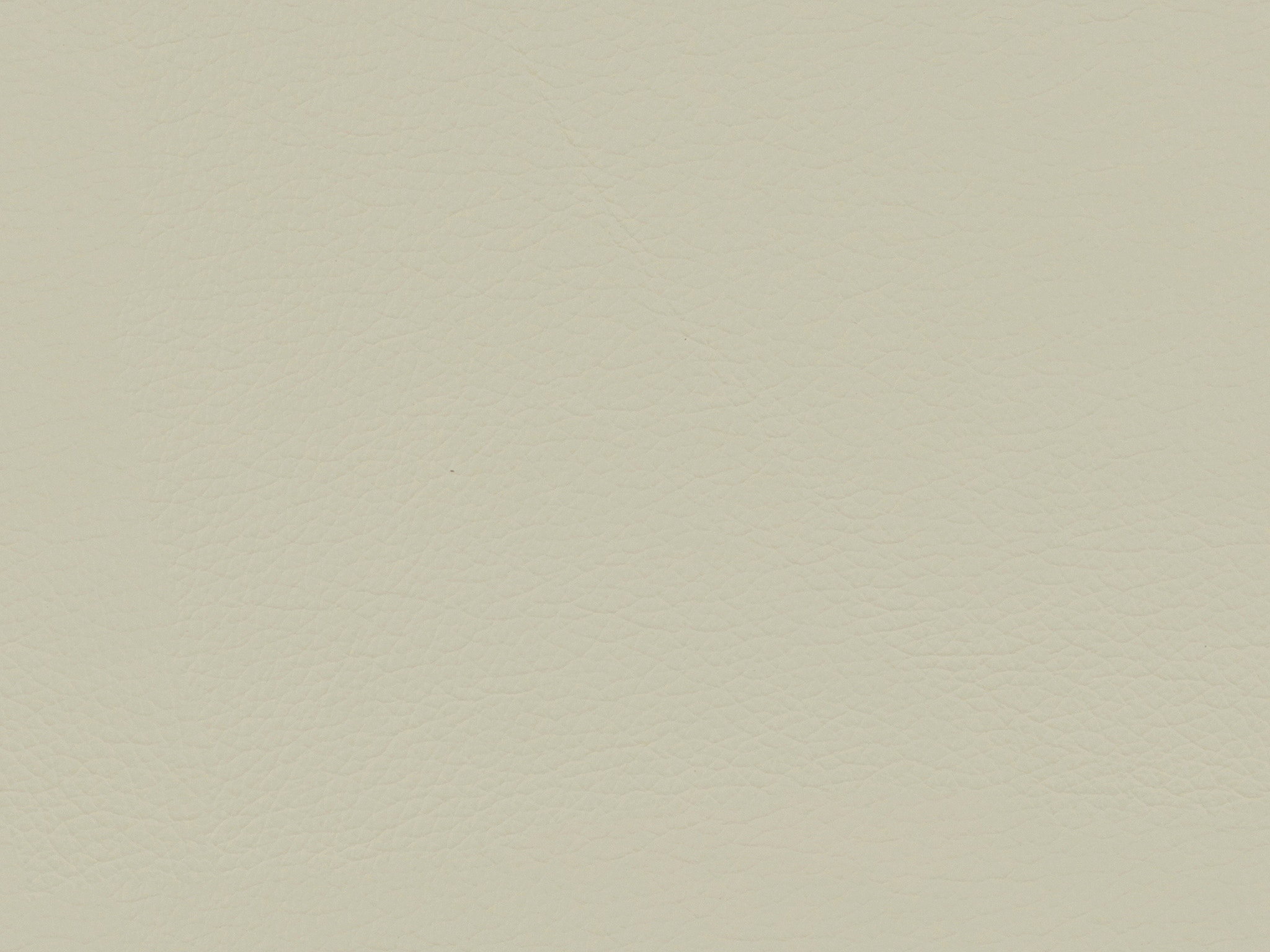 Sea Salt 50627L