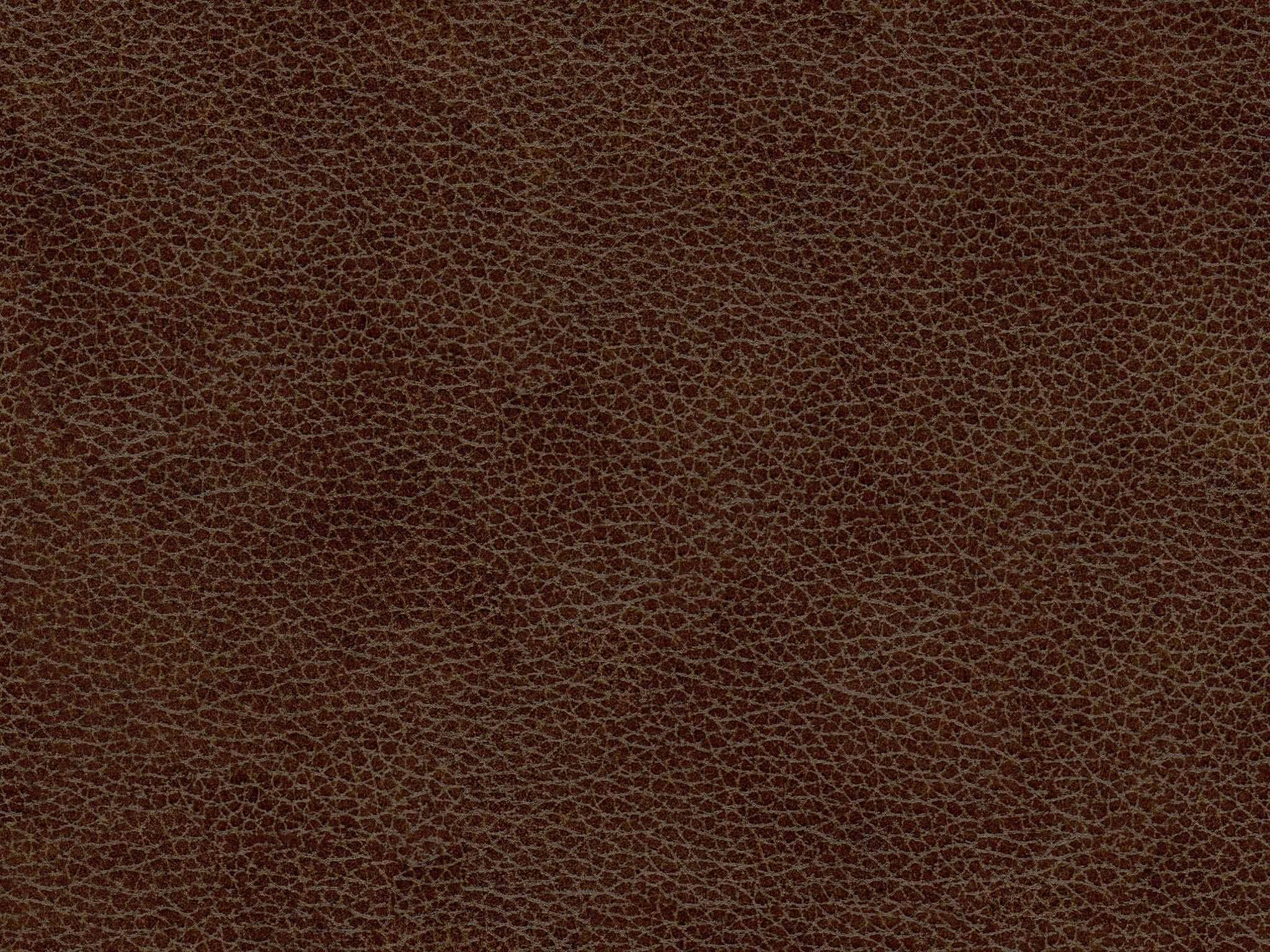 Nutmeg 53246AL