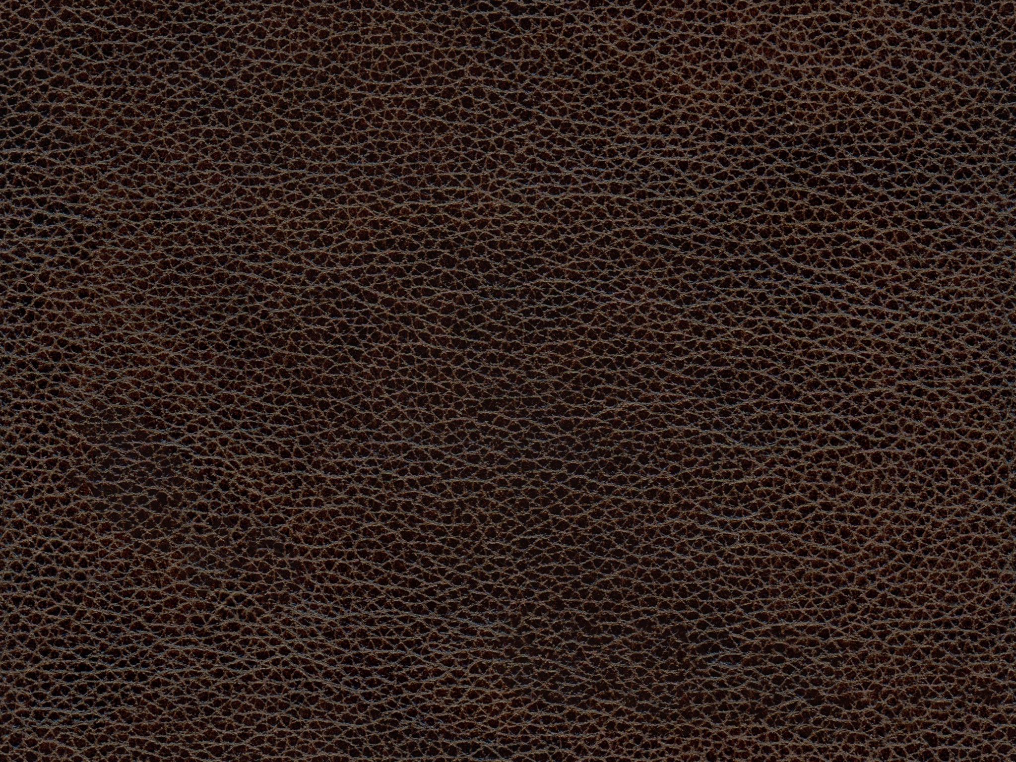 Dark Brown 53246BL