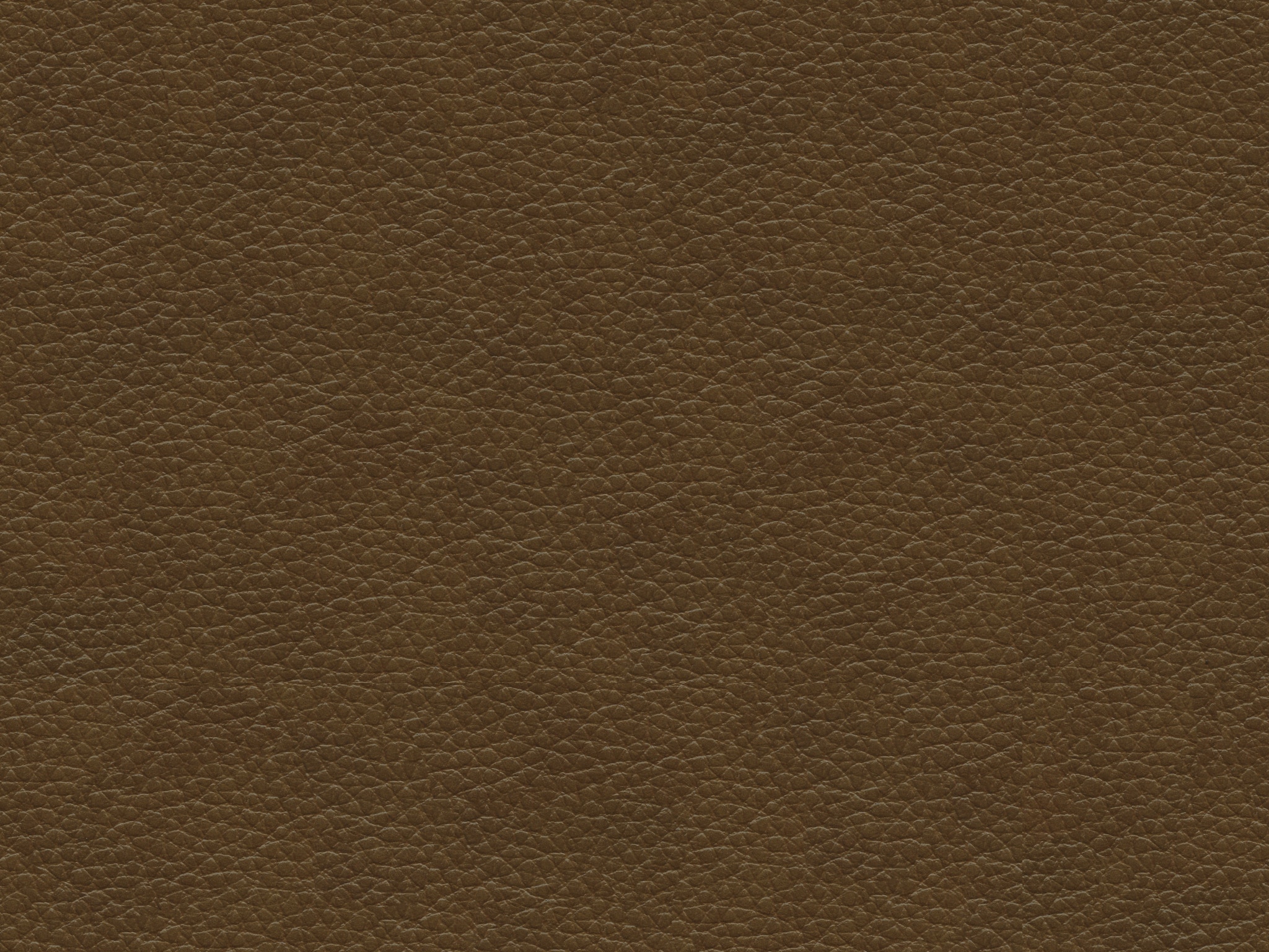 Saddle 71295L