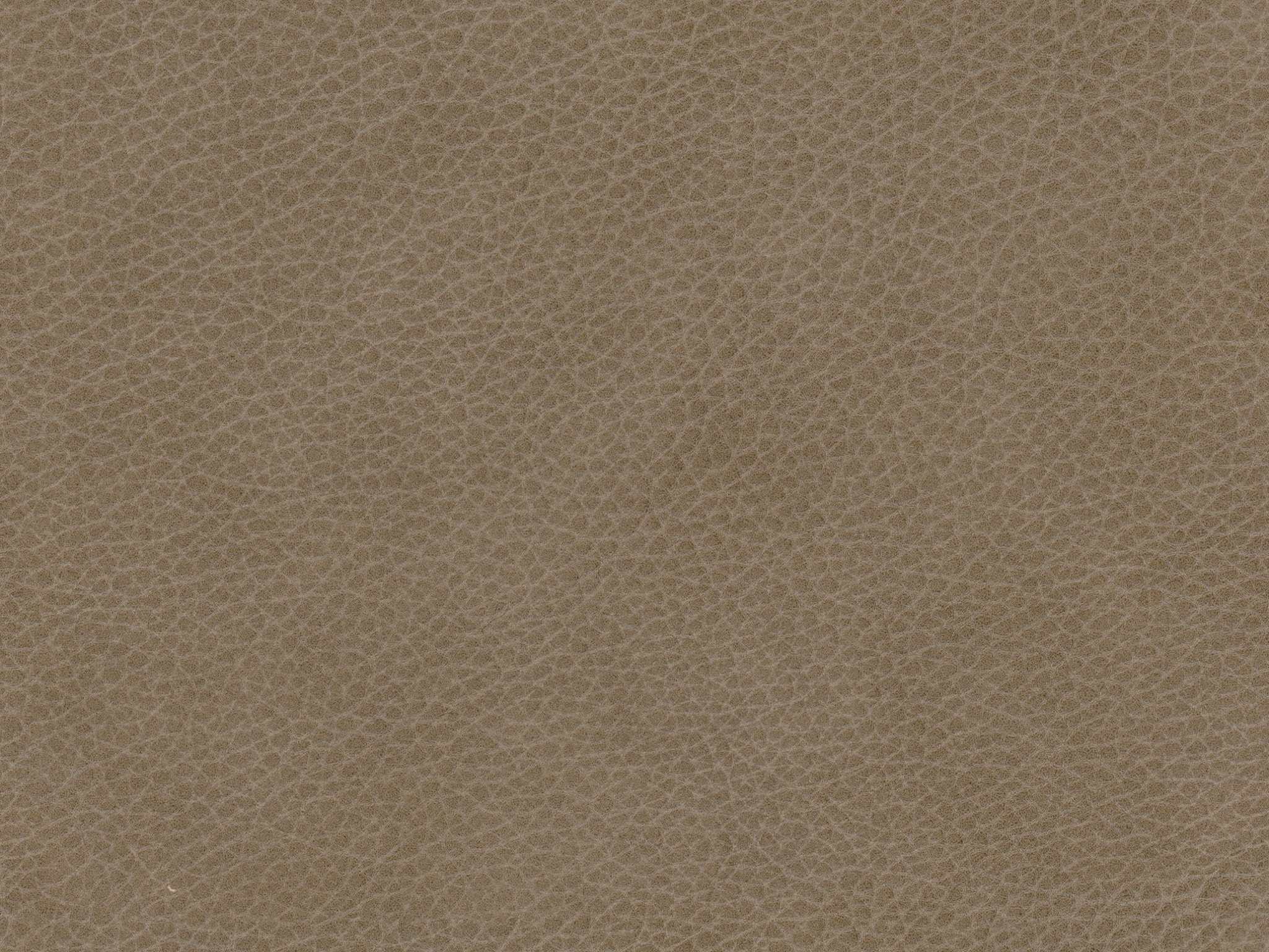   71569L