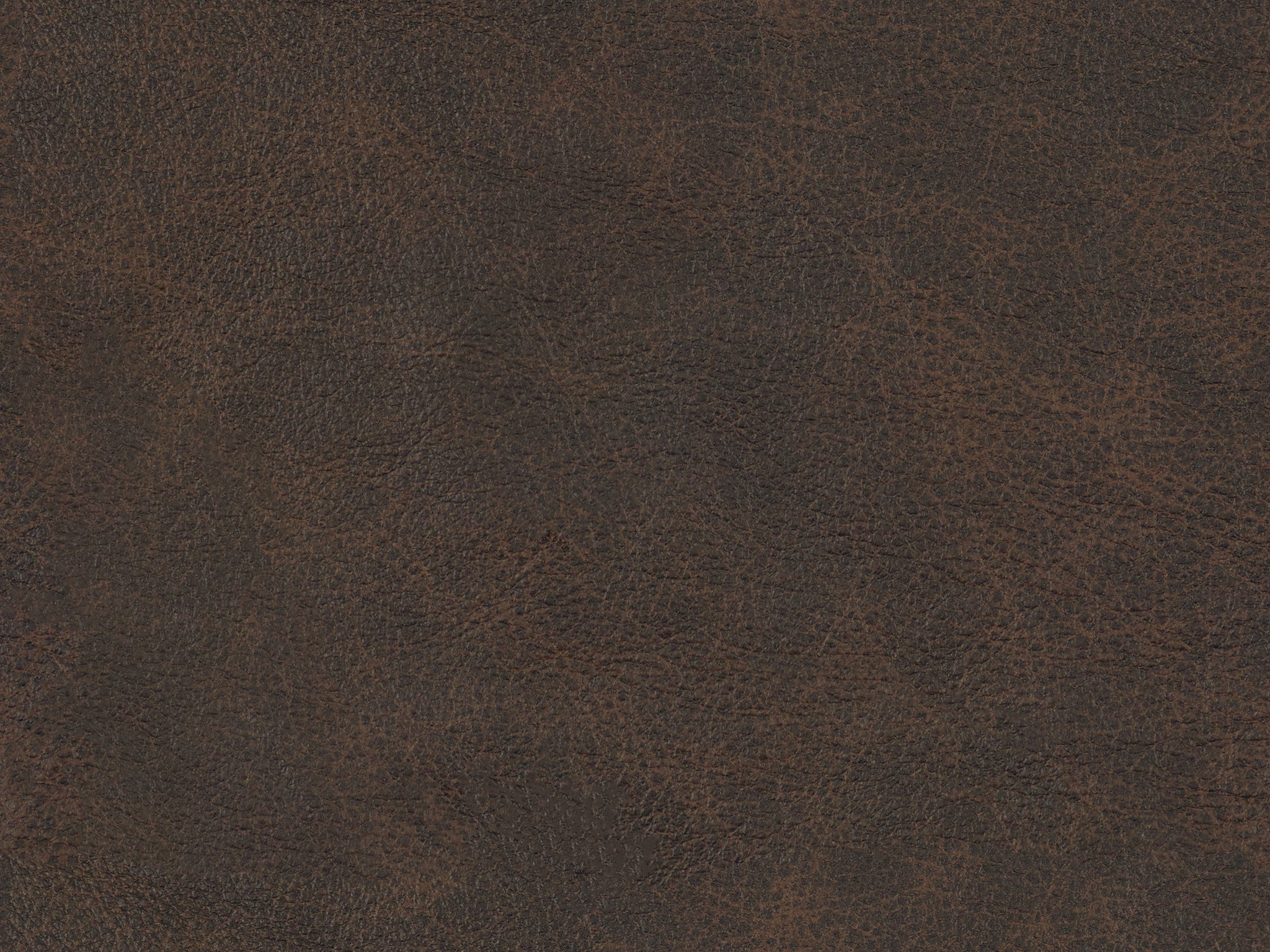Dark Brown 75556L