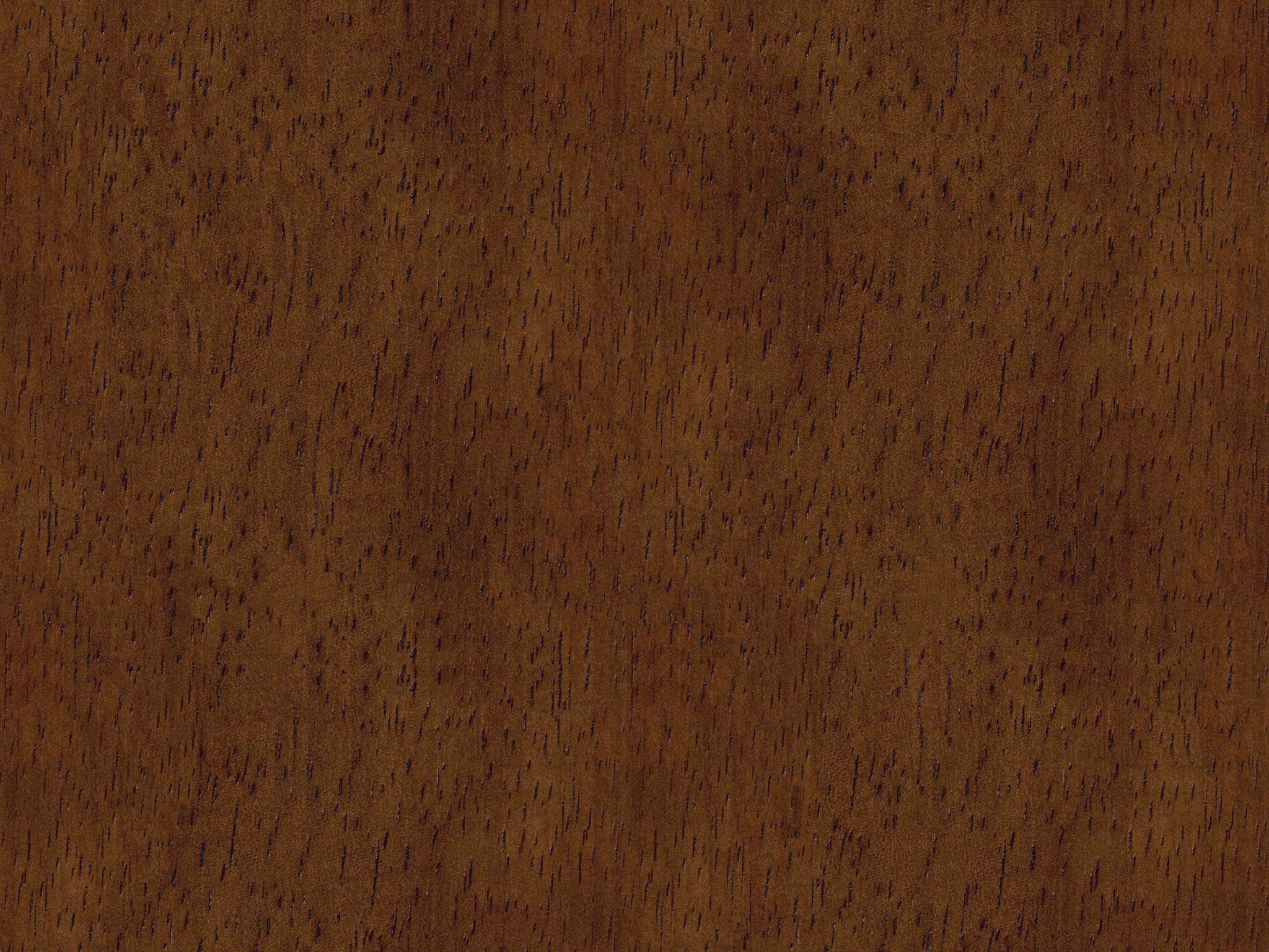 DARK WALNUT