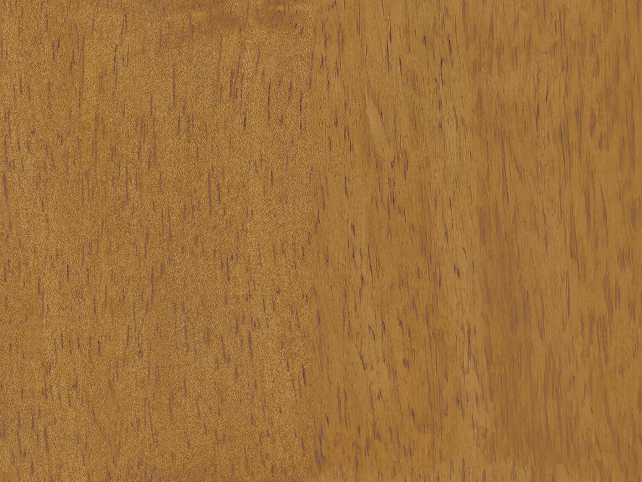 HONEY BIRCH