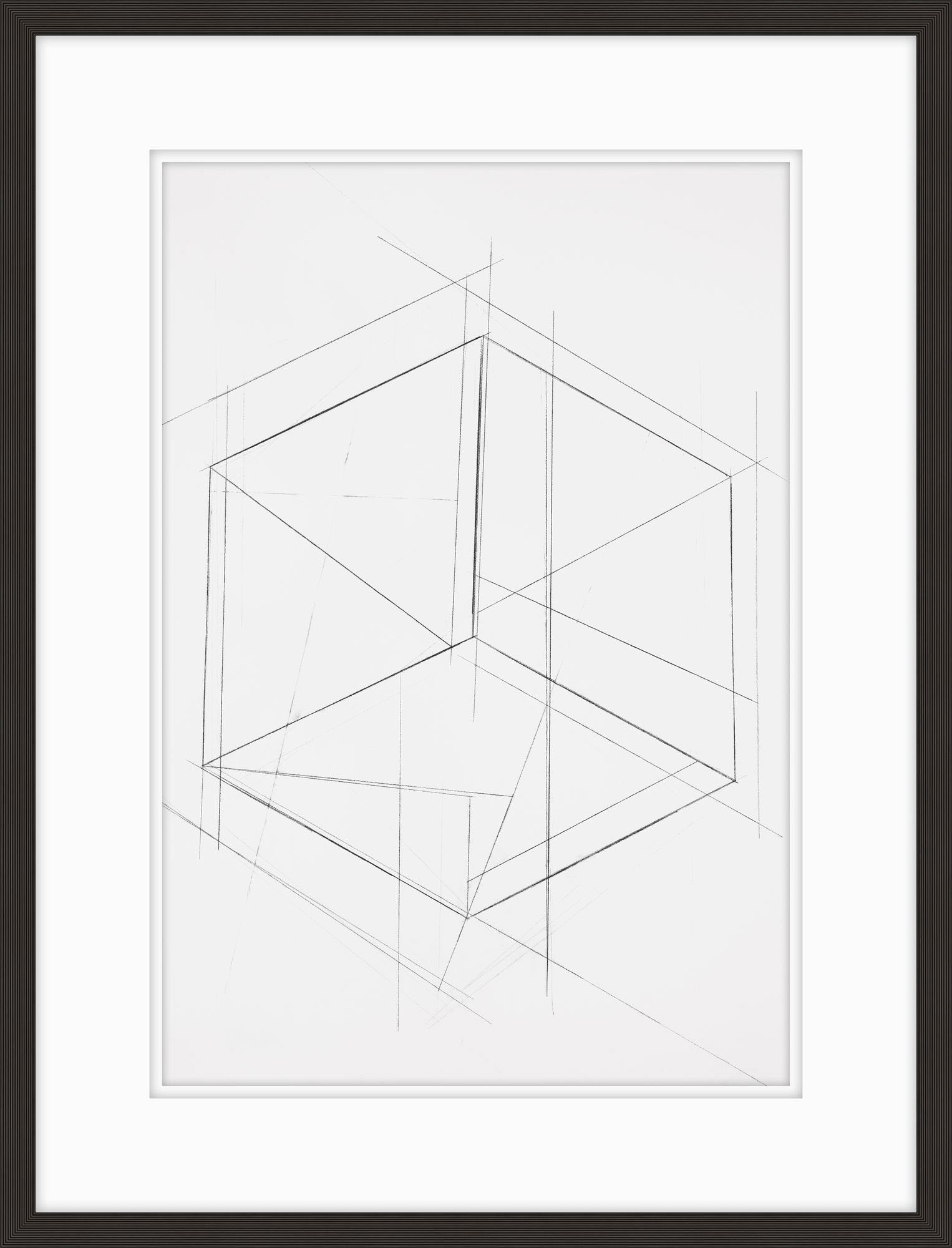 Theodore Alexander Geometric Progression 5 D1214S24266-2263