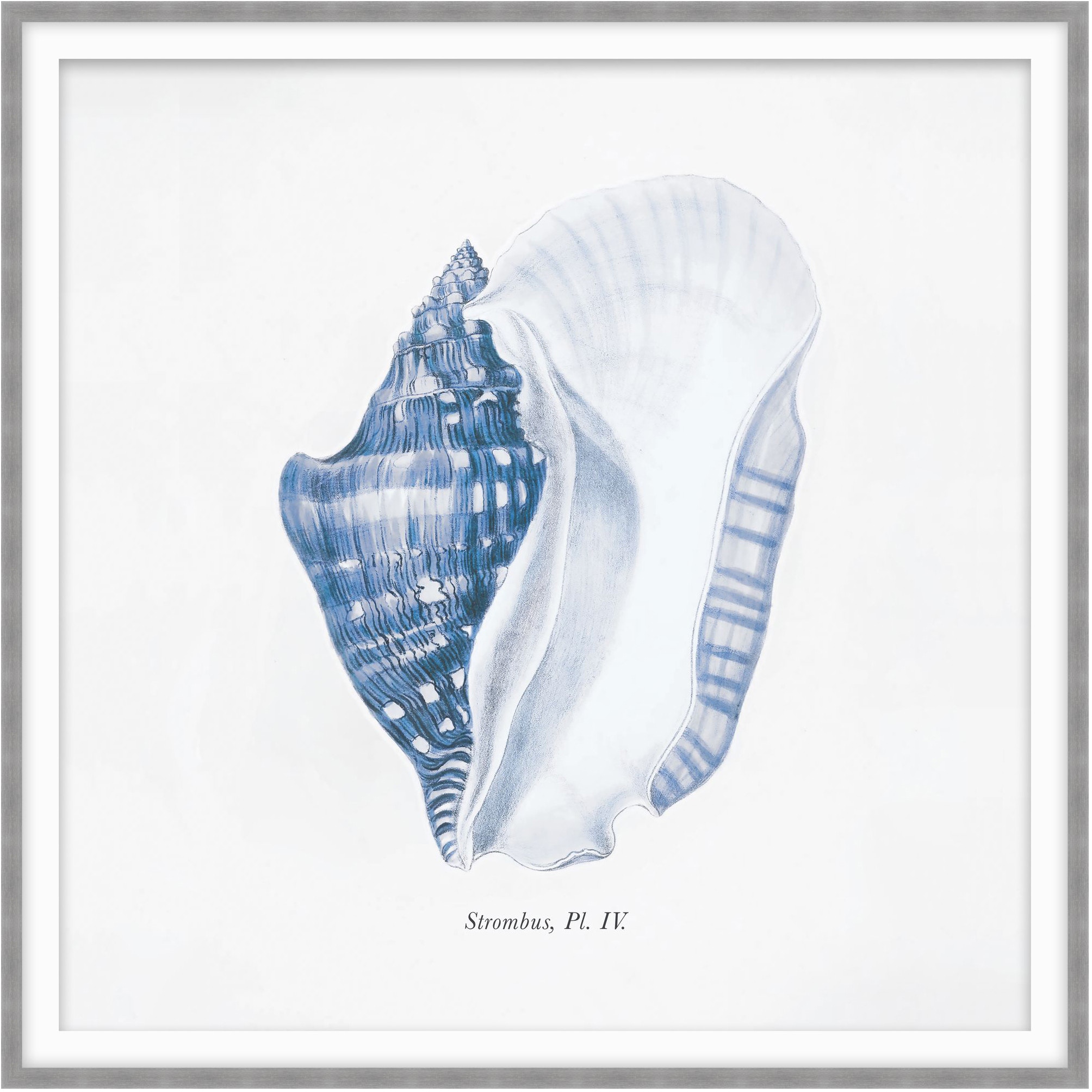 Theodore Alexander Listen To Me 3 D2194S43866-3535