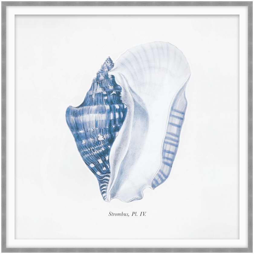 Theodore Alexander Listen To Me 3 D2194S43867-3535