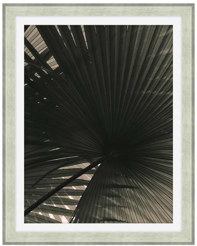 Theodore Alexander In The Shade 1 D2195S43884-3537