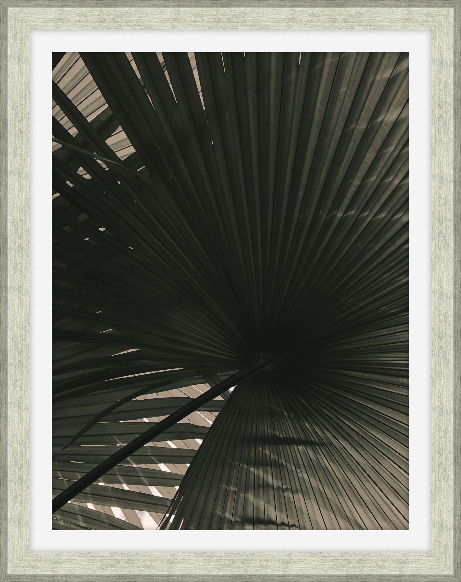 Theodore Alexander In The Shade 1 D2195S43886-3537