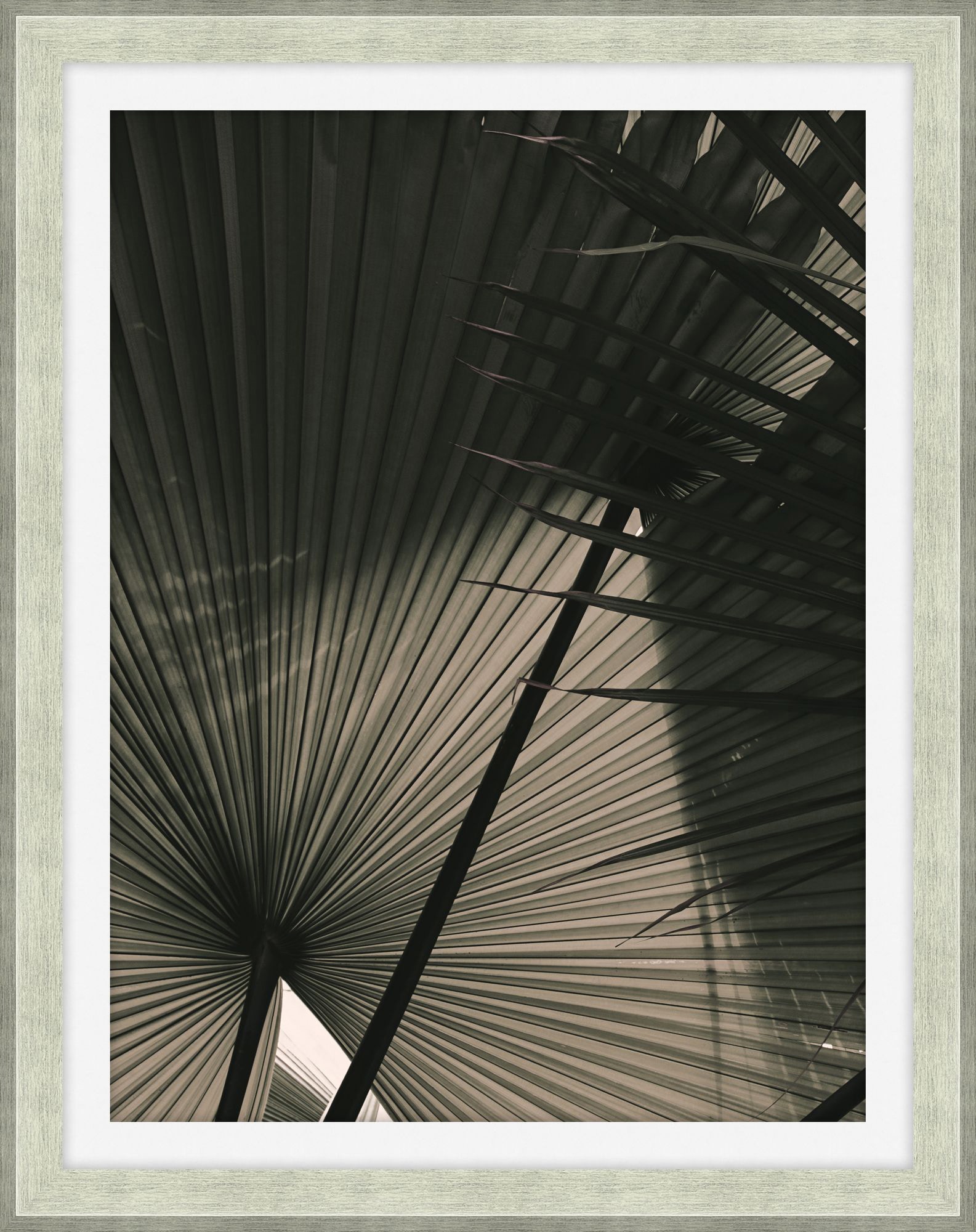 Theodore Alexander In The Shade 2 D2195S43886-3538