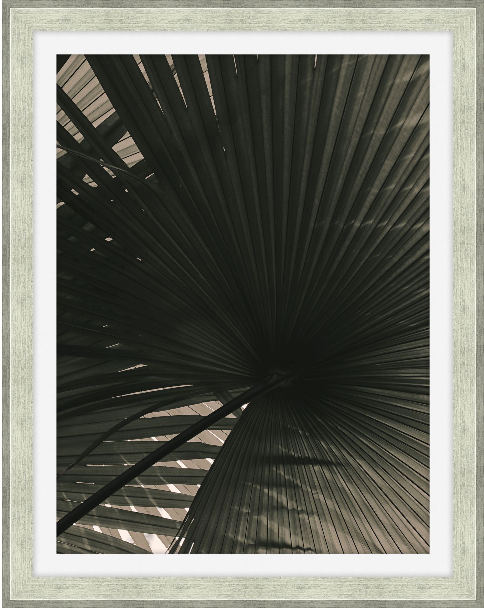 Theodore Alexander In The Shade 1 D2195S43887-3537