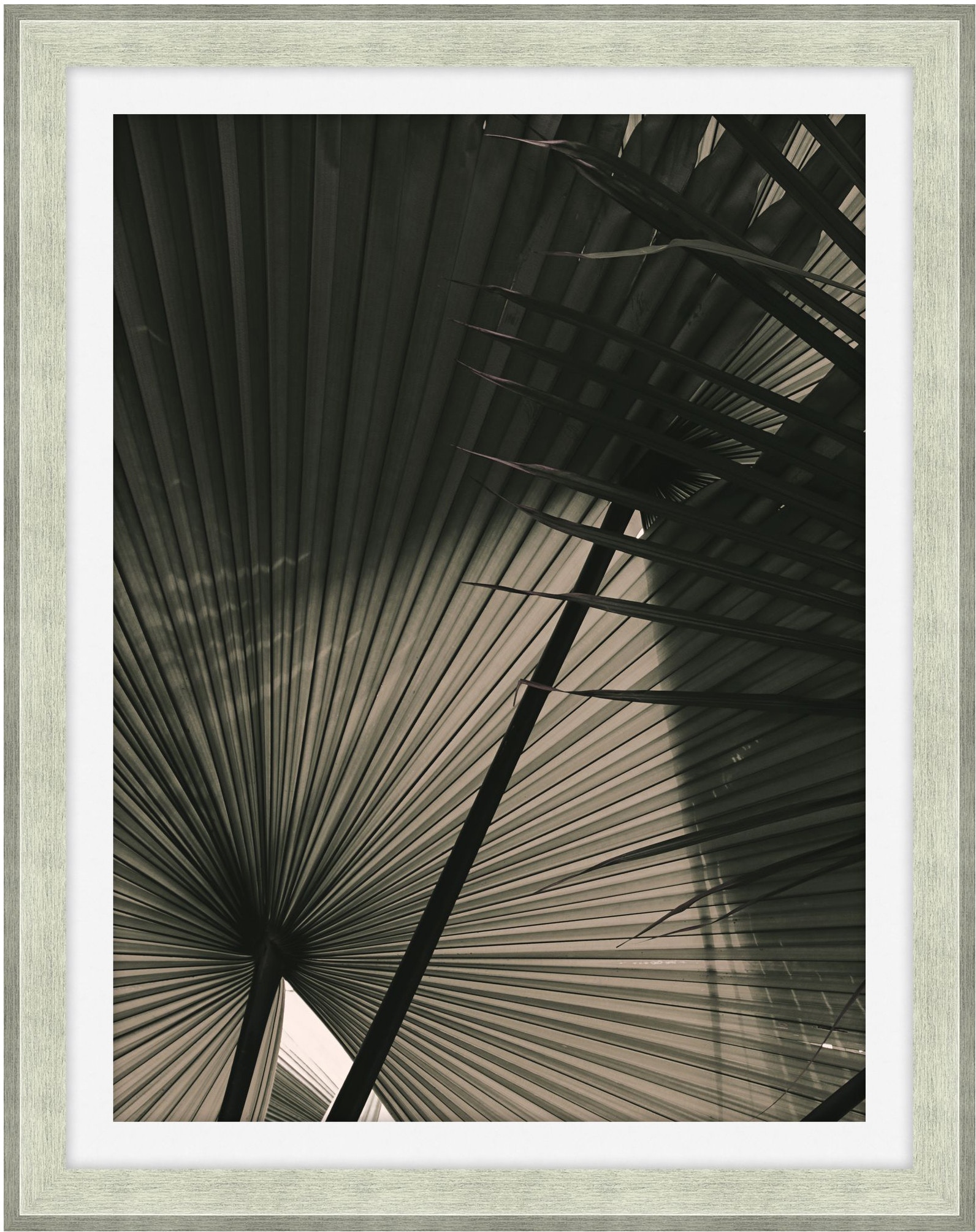 Theodore Alexander In The Shade 2 D2195S43888-3538