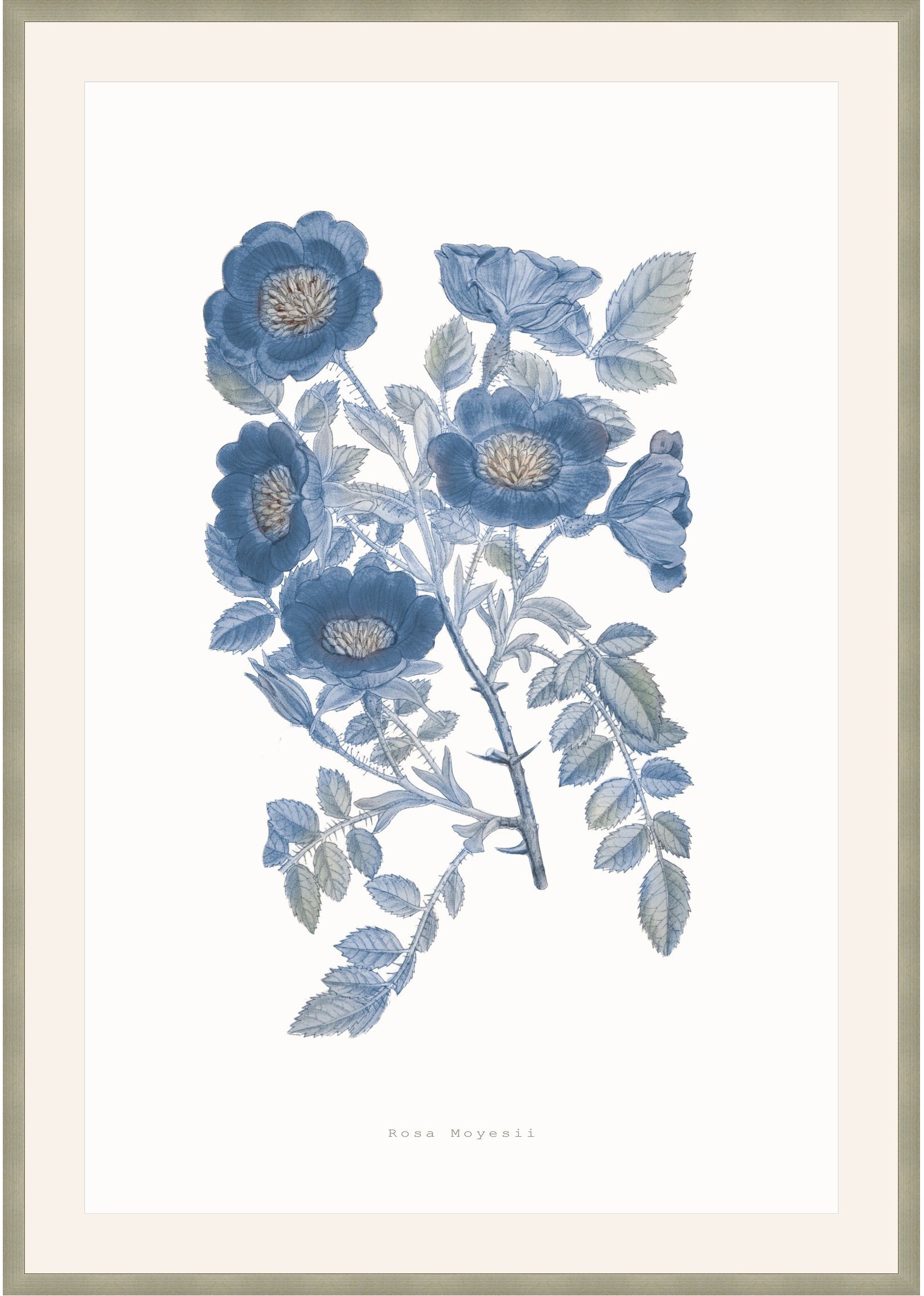 Theodore Alexander Bouquet Blue 5 D2815S56285-4756