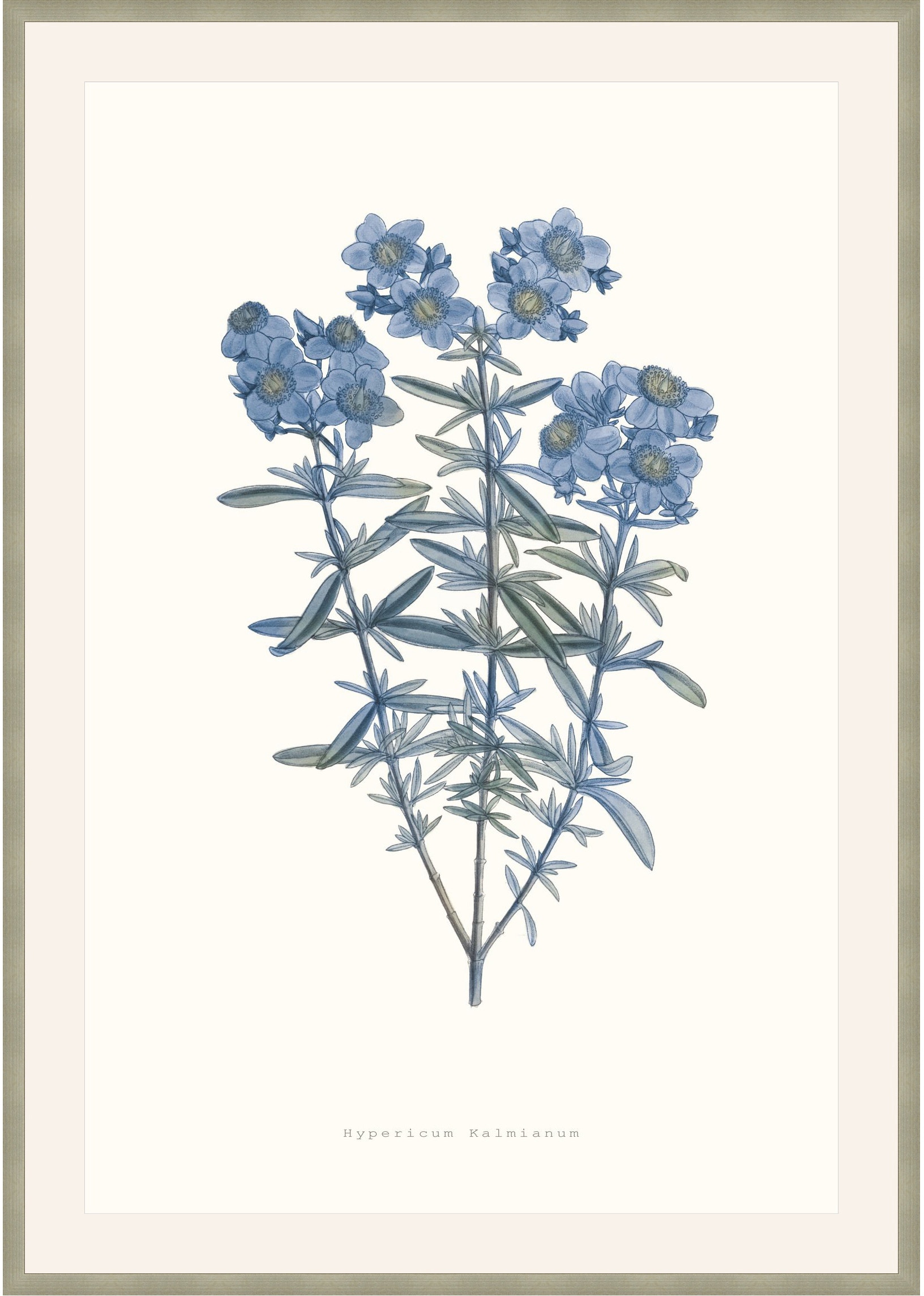Theodore Alexander Bouquet Blue 3 D2815S56286-4754