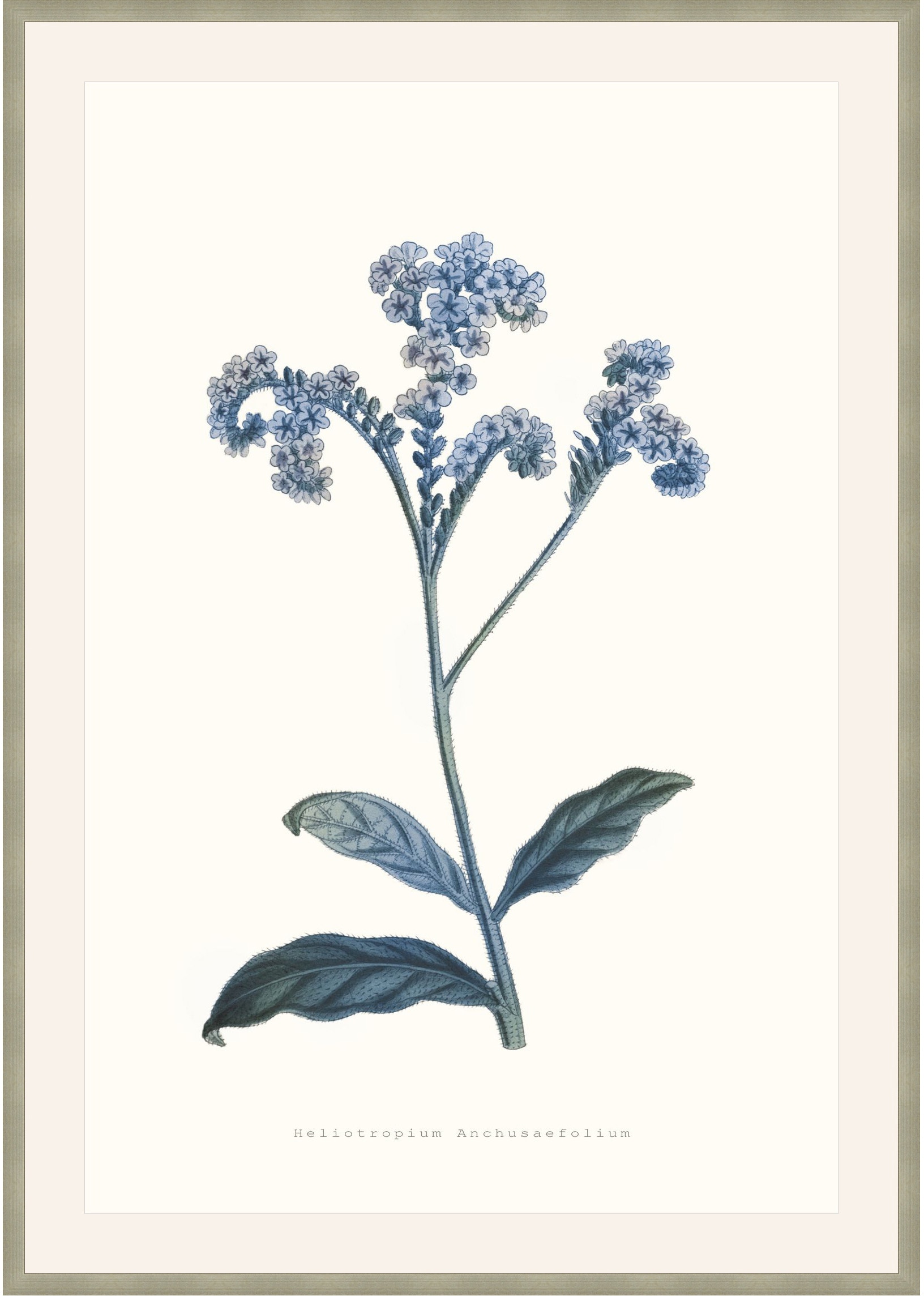Theodore Alexander Bouquet Blue 4 D2815S56286-4755