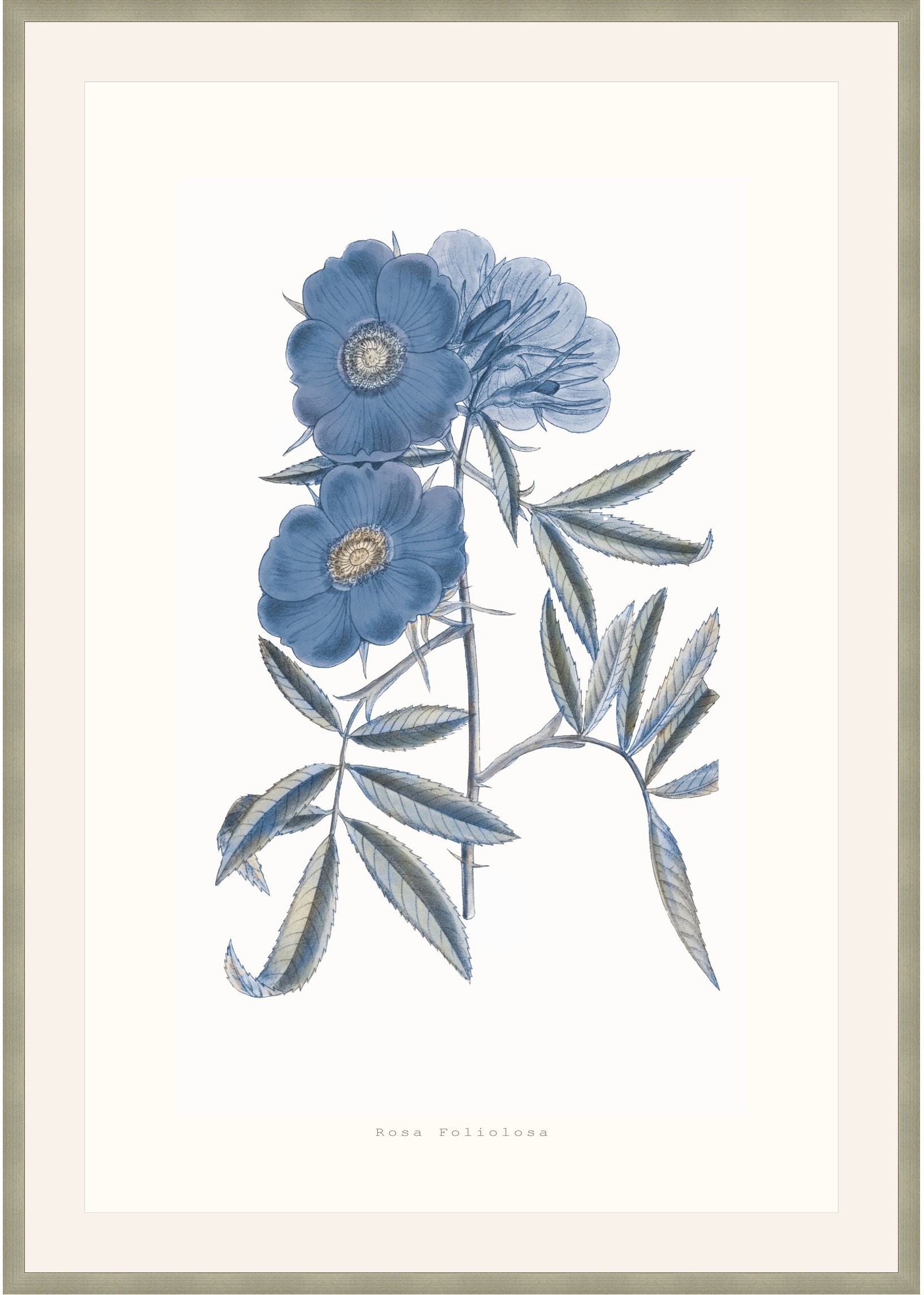 Theodore Alexander Bouquet Blue 2 D2815S56287-4753
