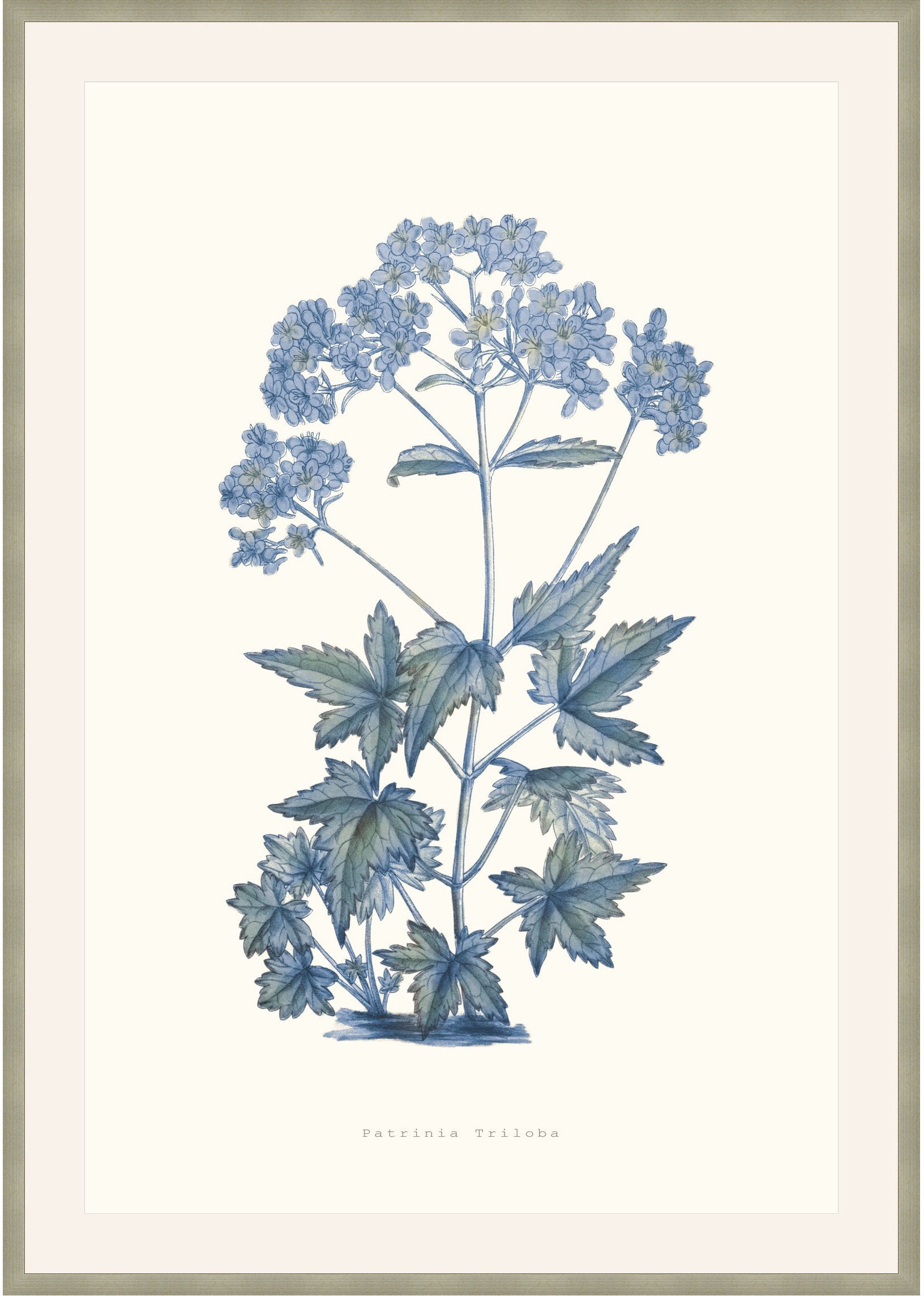 Theodore Alexander Bouquet Blue 6 D2815S56287-4757