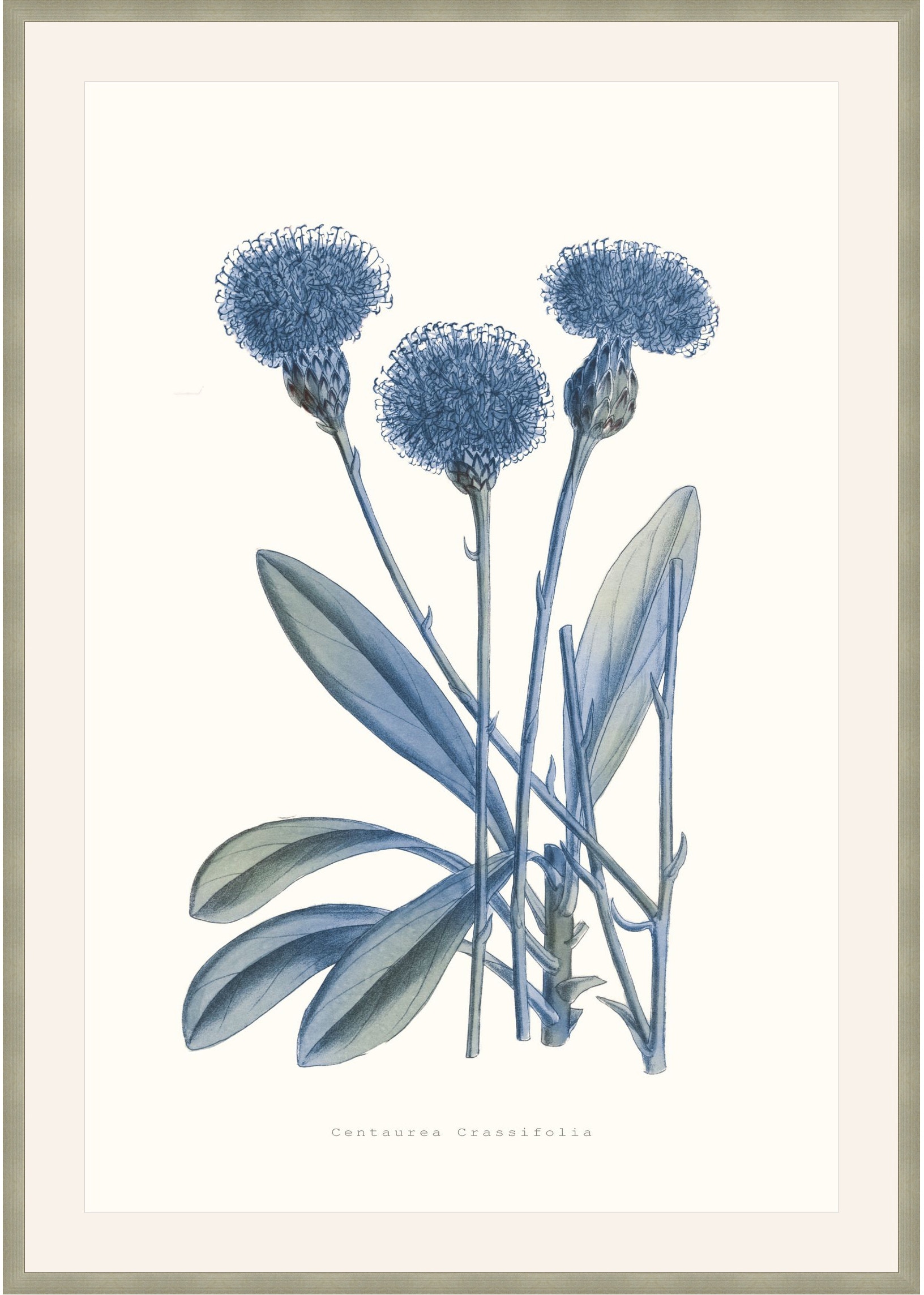 Theodore Alexander Bouquet Blue 1 D2815S56288-4752