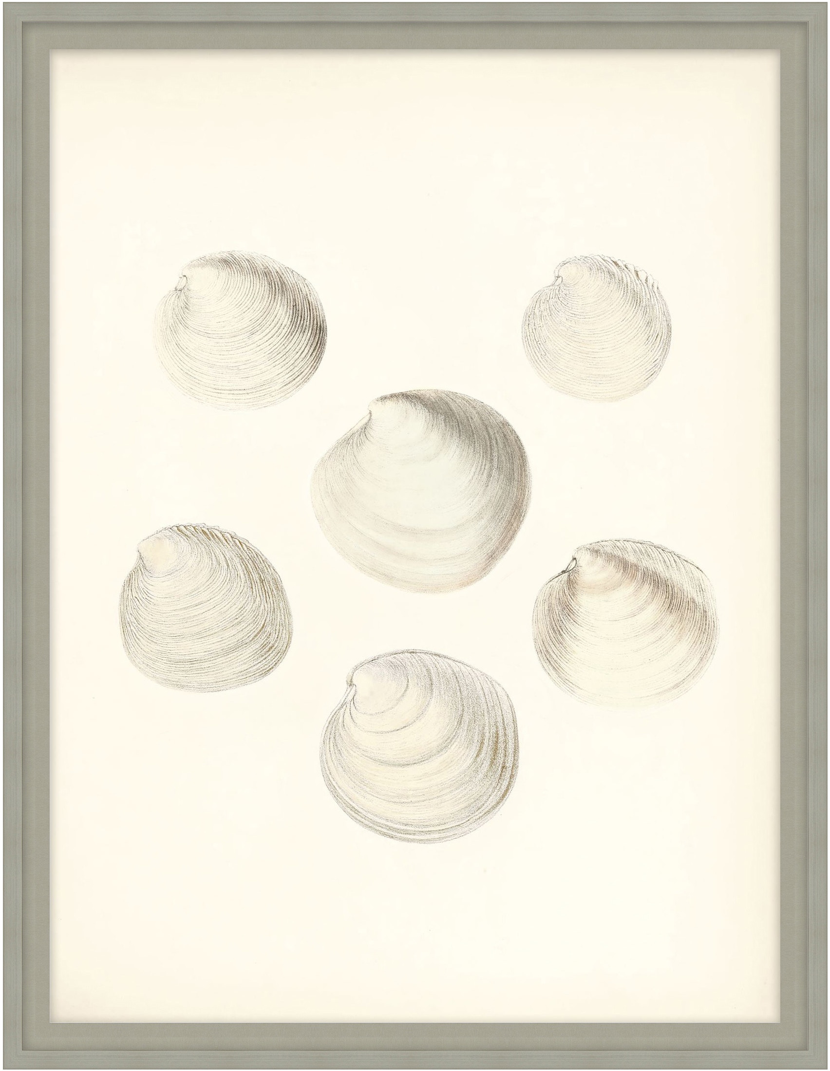 Theodore Alexander Sea Trinkets 1 D2816S56305-4731