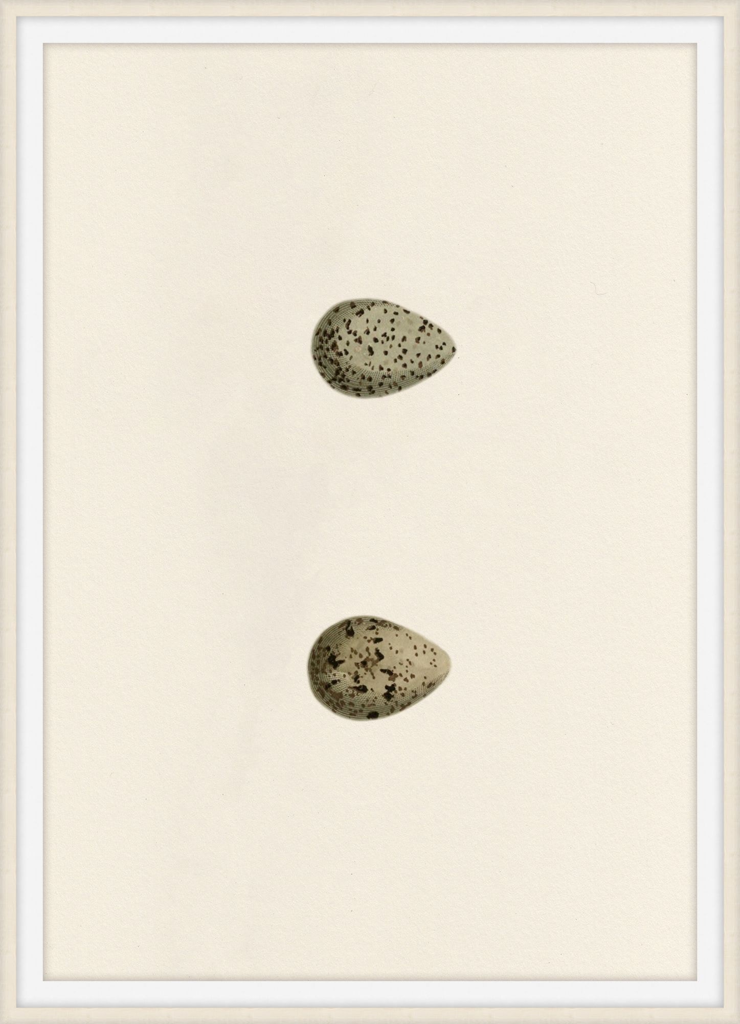 Theodore Alexander Unhatched 1 D2818S56344-4746