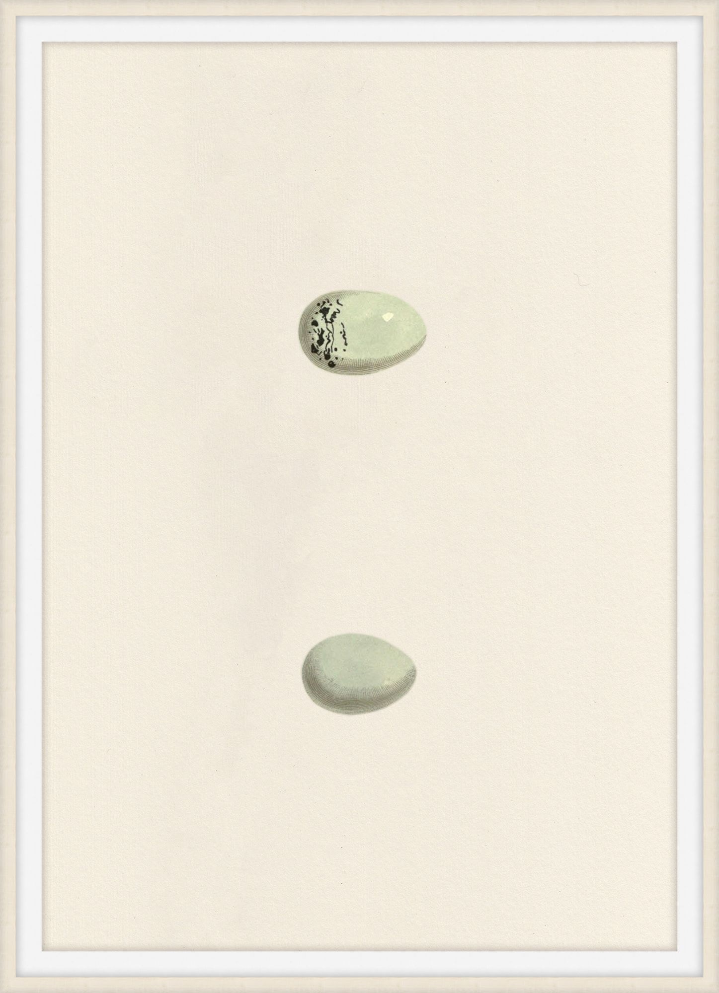 Theodore Alexander Unhatched 2 D2818S56344-4747