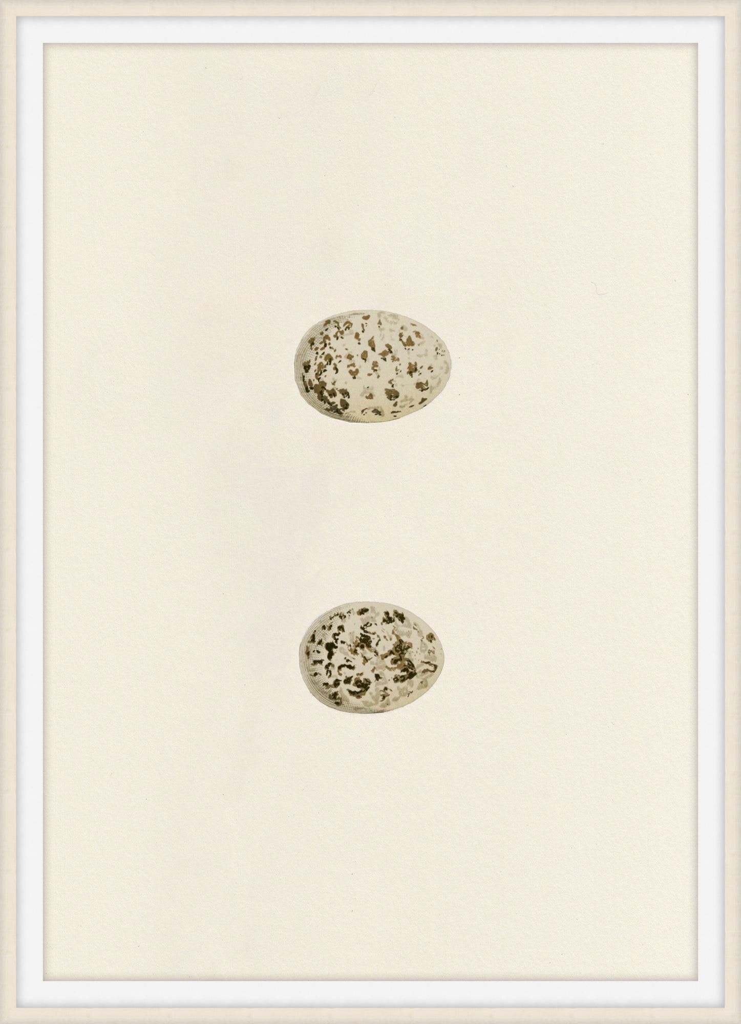 Theodore Alexander Unhatched 4 D2818S56344-4749