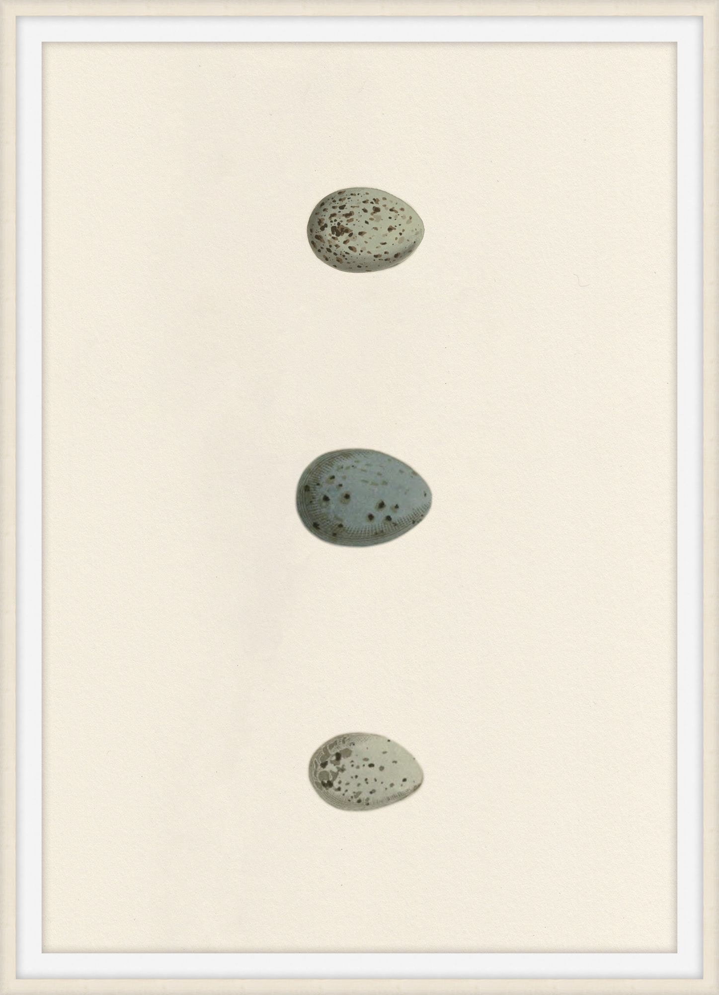 Theodore Alexander Unhatched 6 D2818S56344-4751