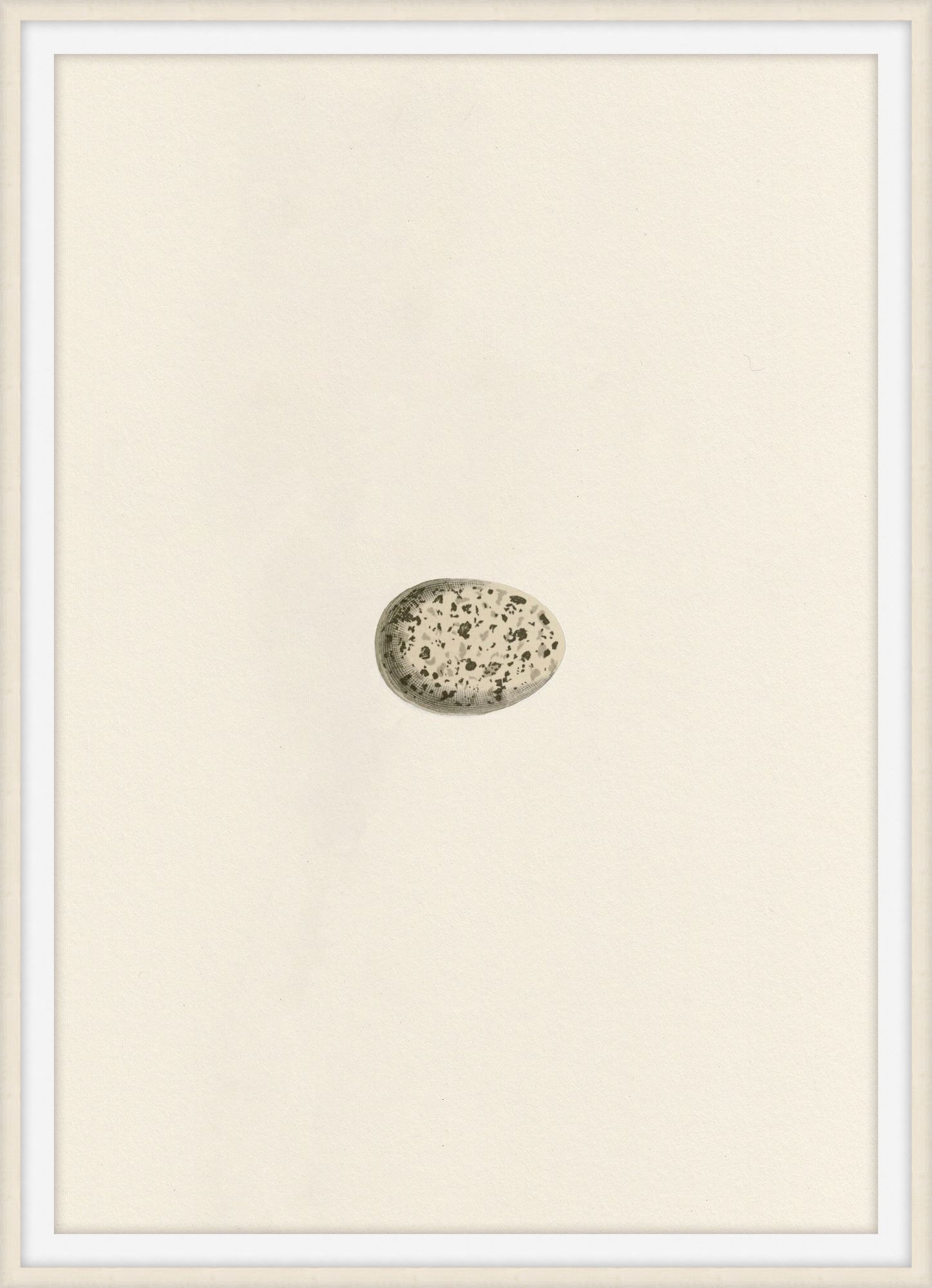 Theodore Alexander Unhatched 3 D2818S56345-4748
