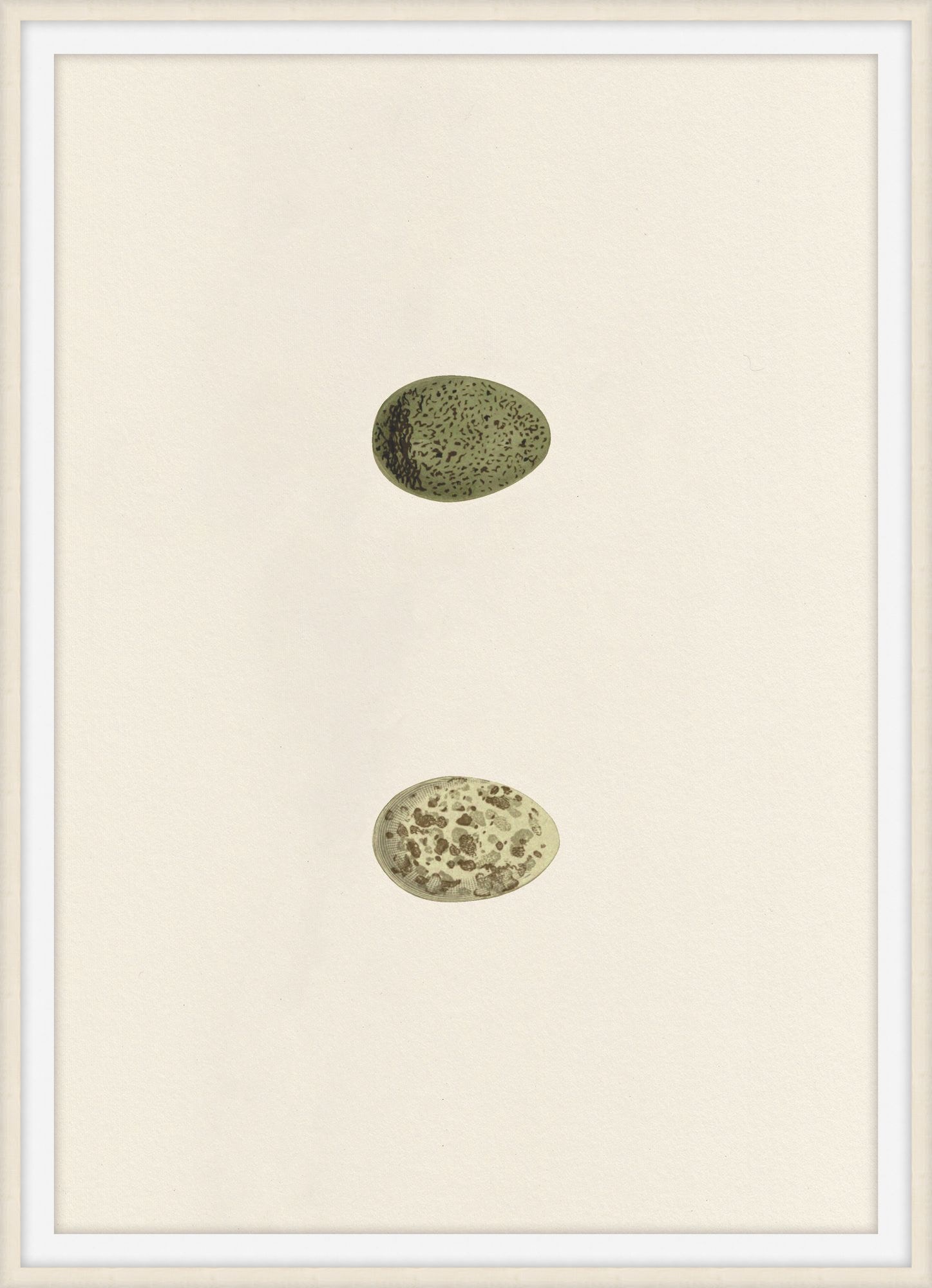 Theodore Alexander Unhatched 9 D2818S56345-5782
