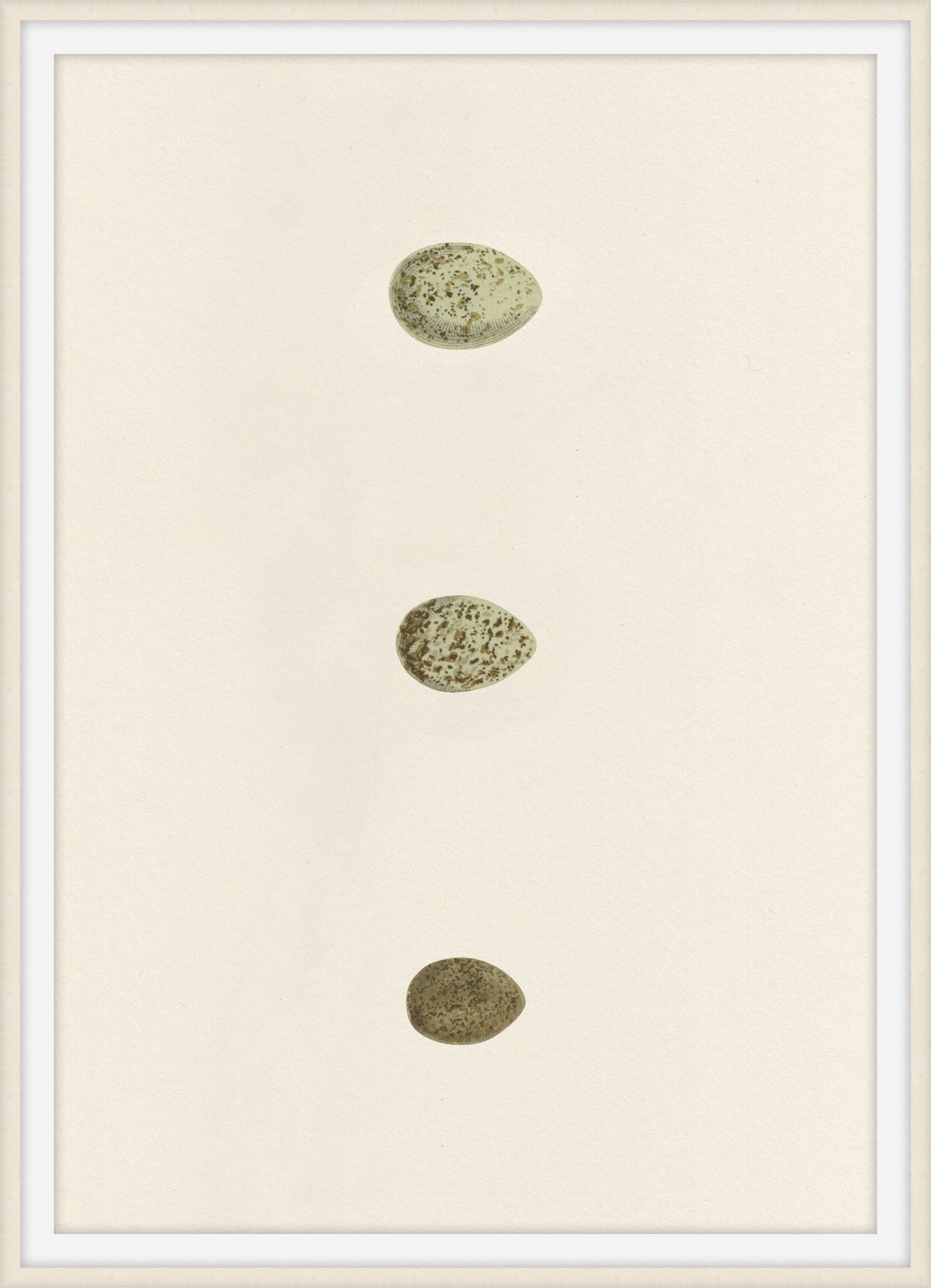 Theodore Alexander Unhatched 8 D2818S56346-5781