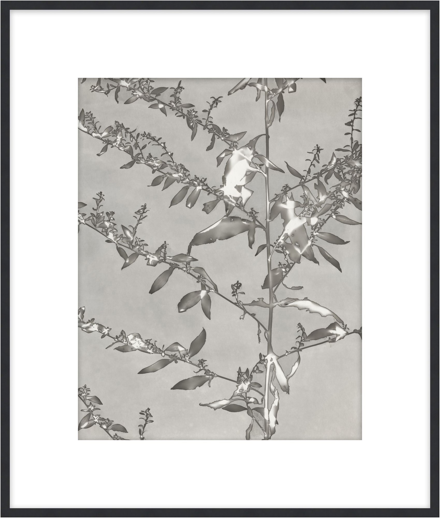 Theodore Alexander Lucent Botanicals 4 D3083S61641-5062