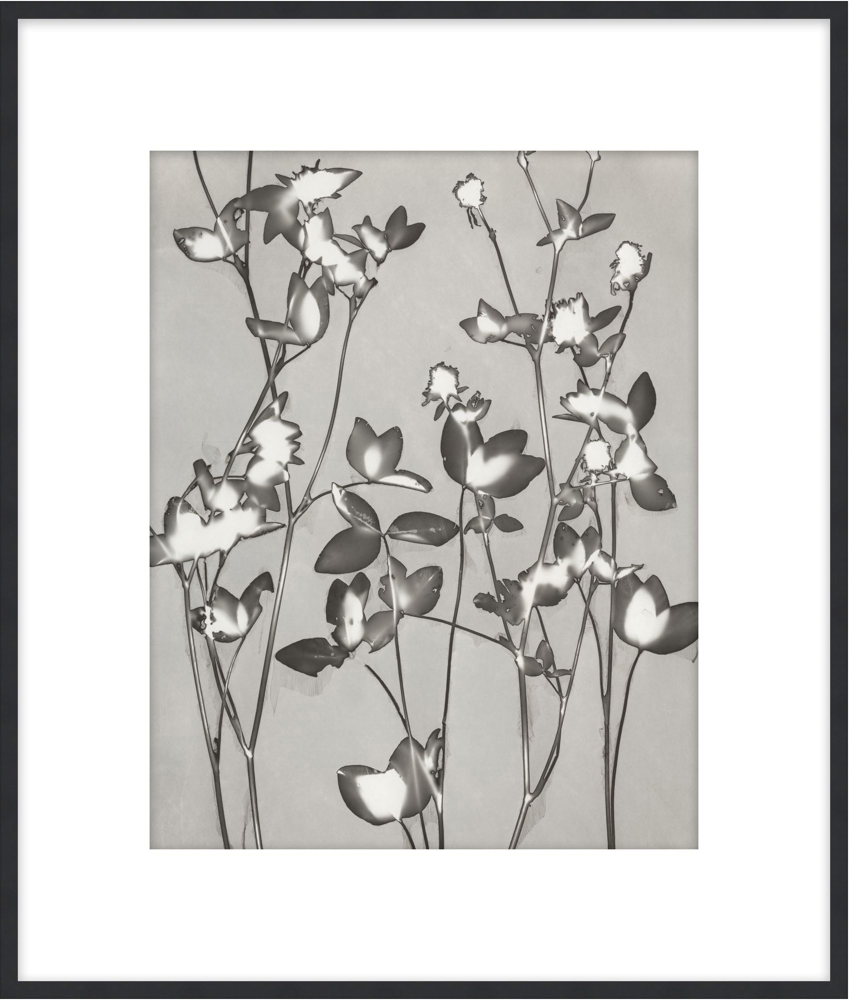 Theodore Alexander Lucent Botanicals 7 D3083S61641-5065