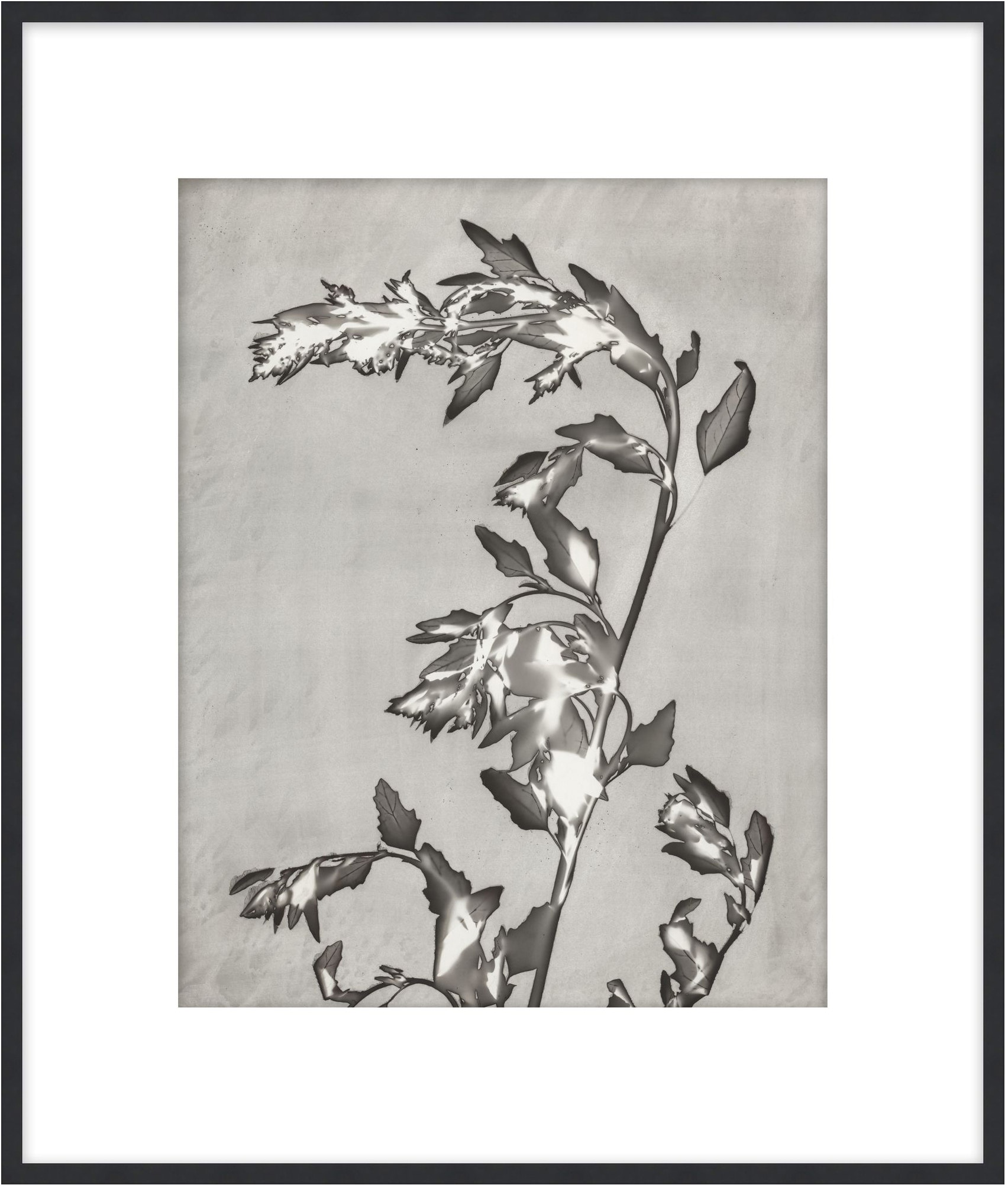 Theodore Alexander Lucent Botanicals 3 D3083S61644-5061