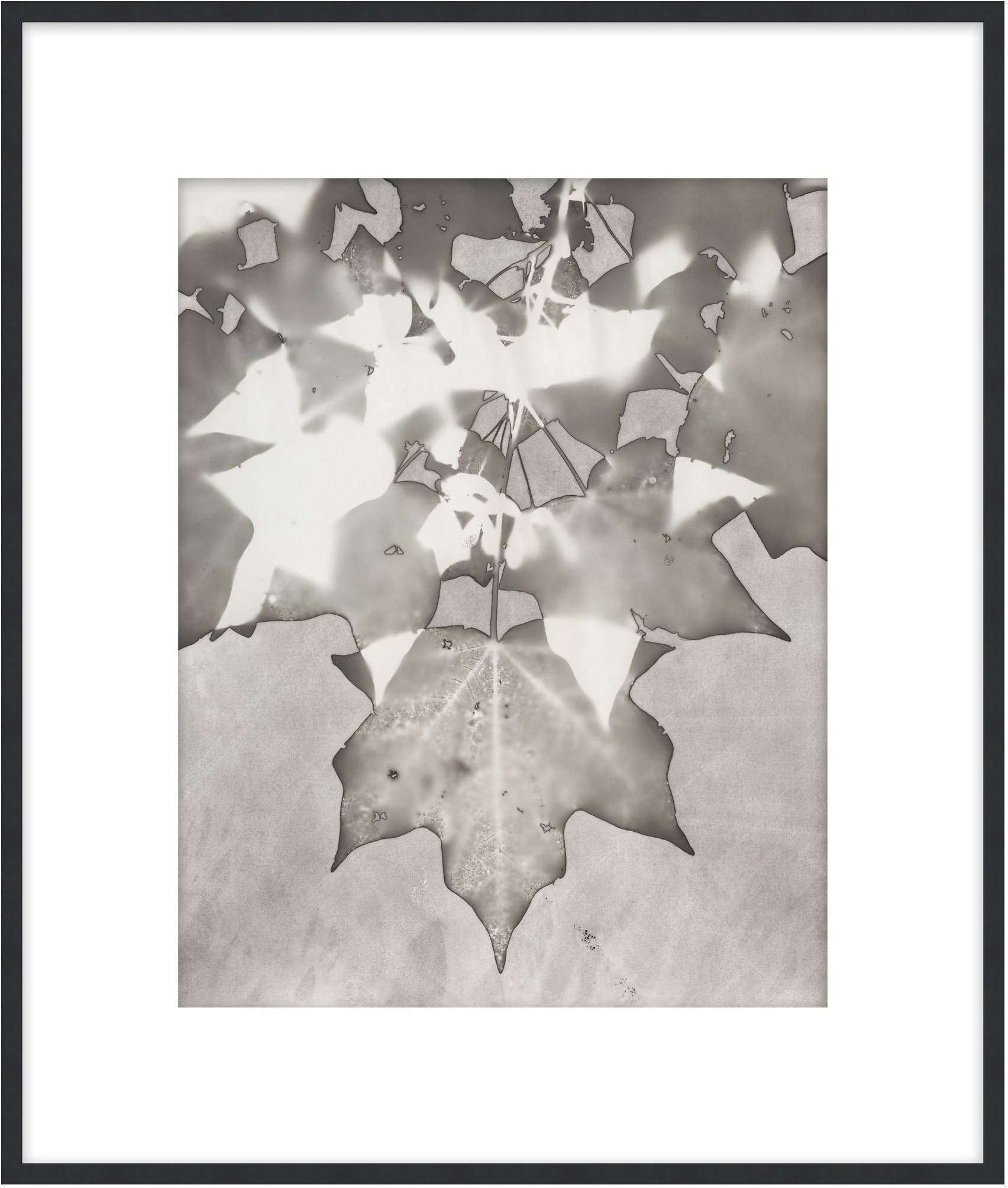 Theodore Alexander Lucent Botanicals 8 D3083S61644-5066