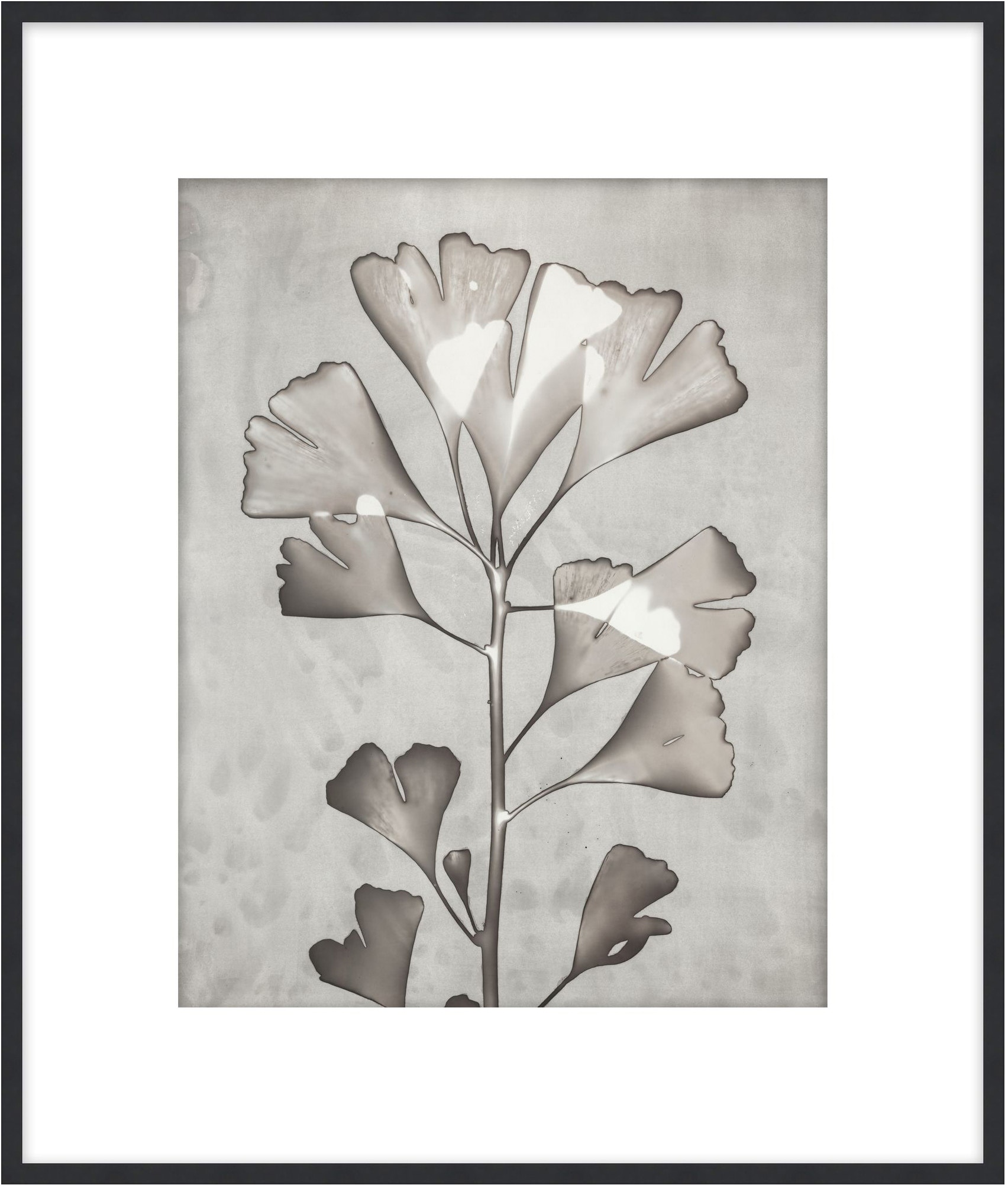 Theodore Alexander Lucent Botanicals 5 D3083S61646-5063