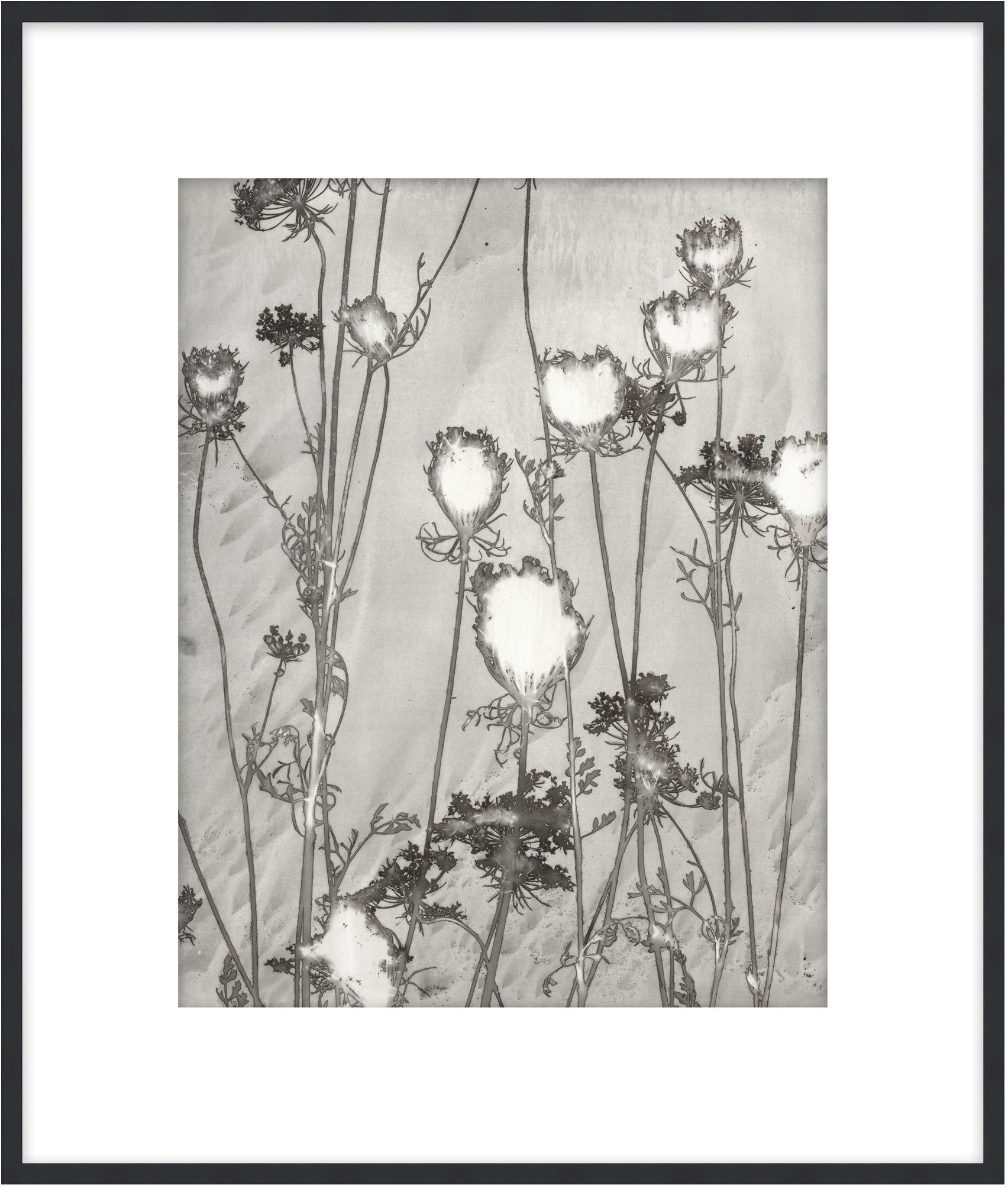 Theodore Alexander Lucent Botanicals 1 D3083S61648-5059