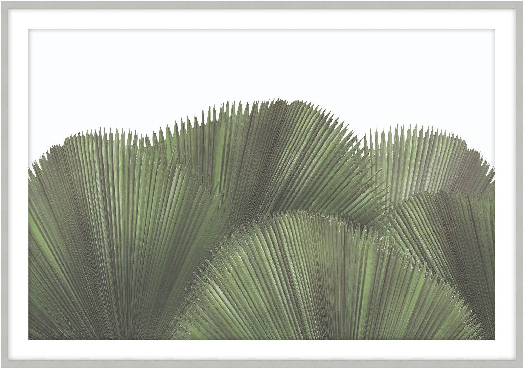 Theodore Alexander Tropical Leaves 3 D3103S62042-5149