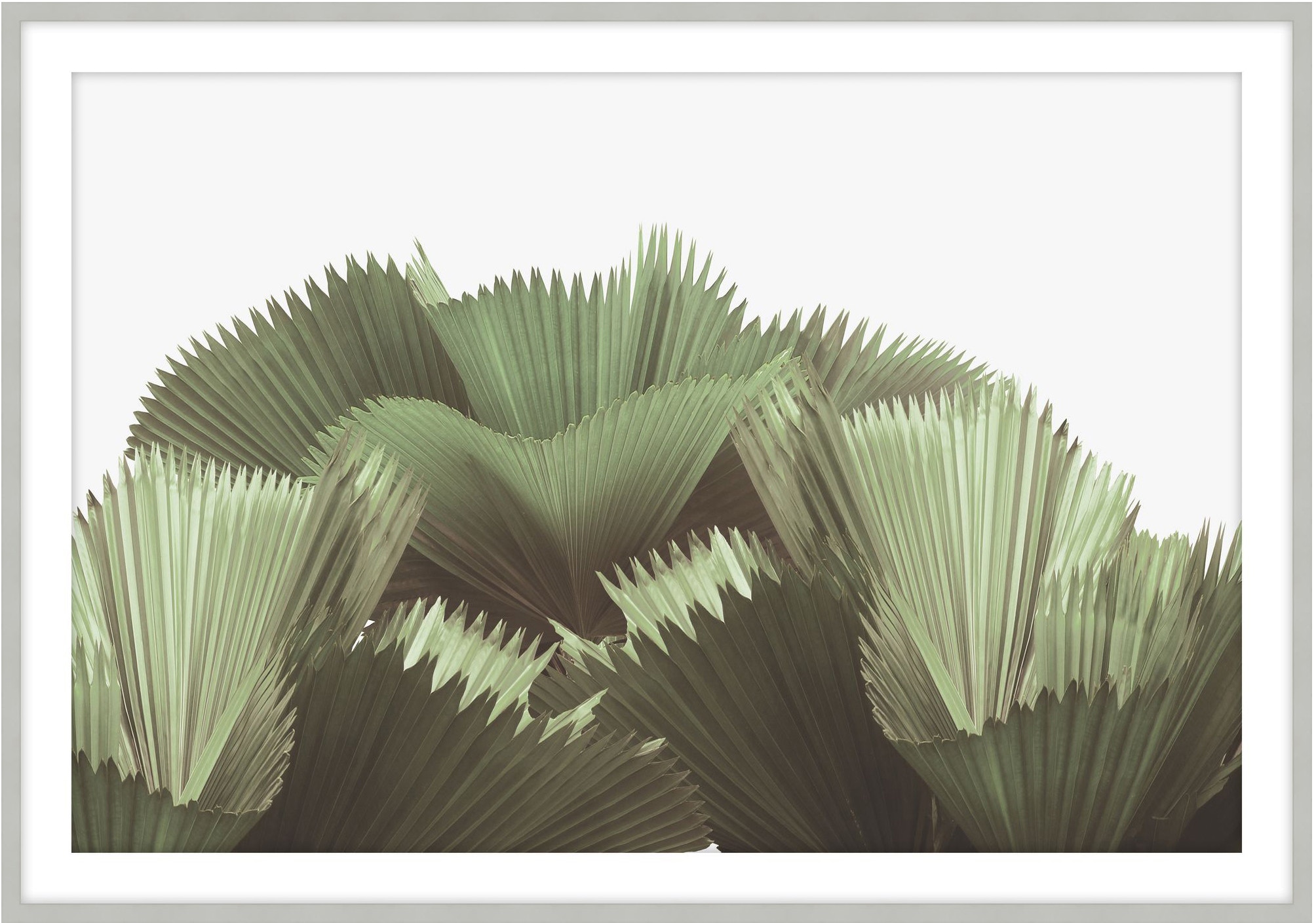 Theodore Alexander Tropical Leaves 1 D3103S62044-5147