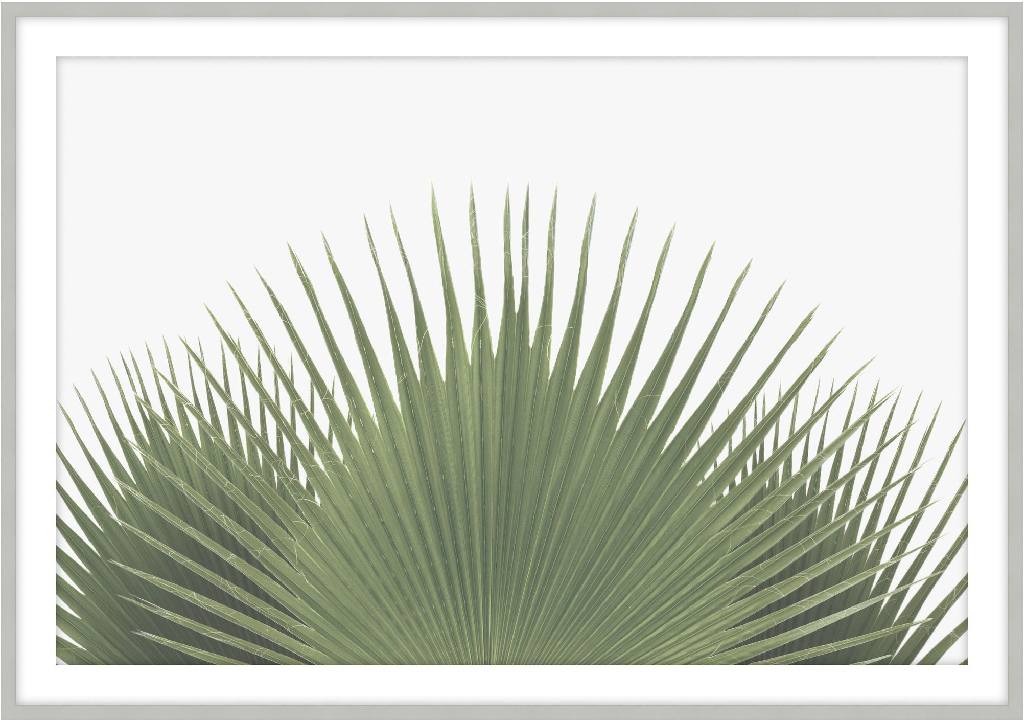 Theodore Alexander Tropical Leaves 2 D3103S62044-5148