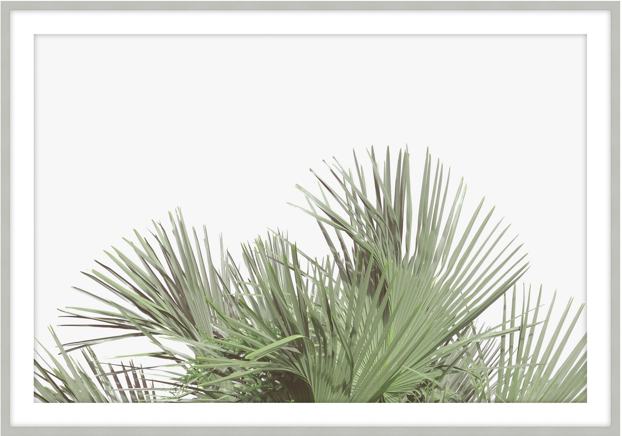 Theodore Alexander Tropical Leaves 5 D3103S62044-5151