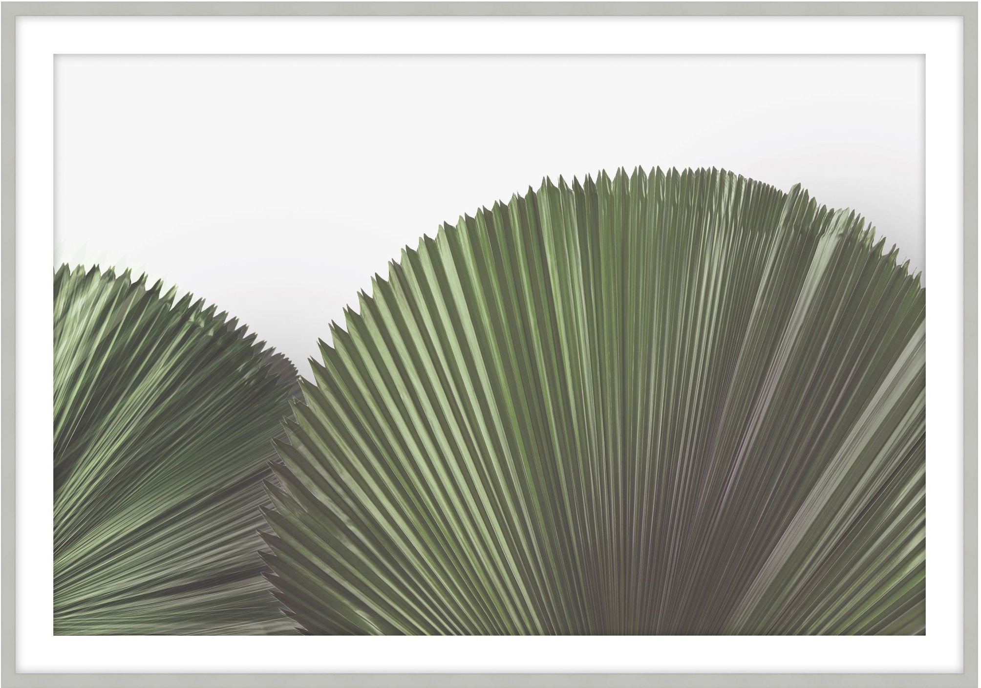 Theodore Alexander Tropical Leaves 4 D3103S62046-5150