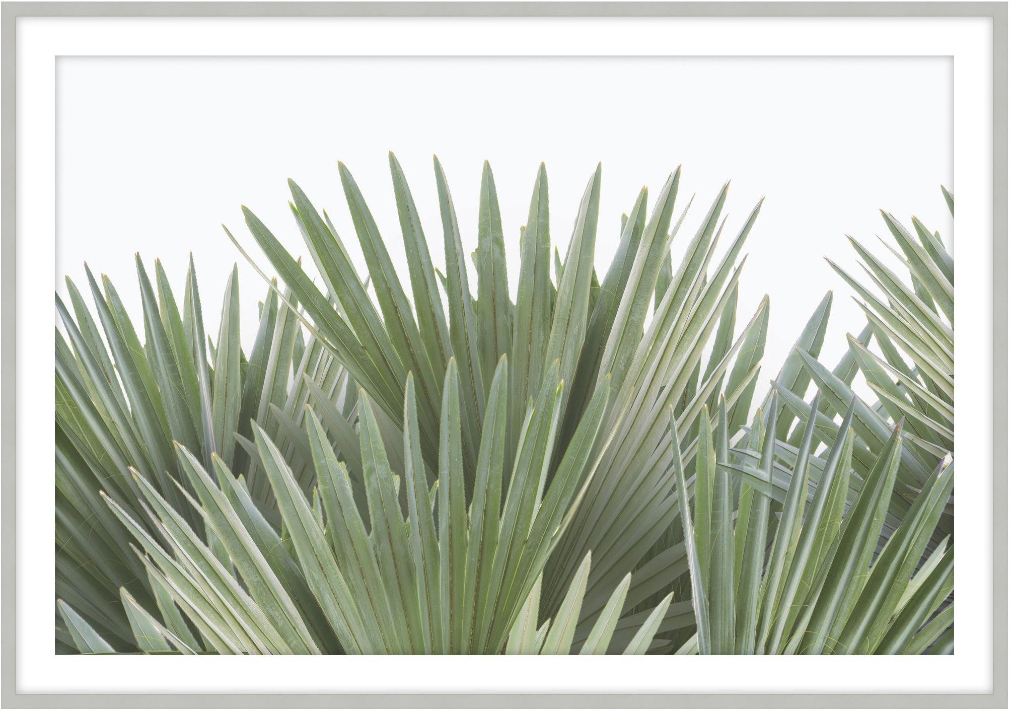 Theodore Alexander Tropical Leaves 6 D3103S62048-5152