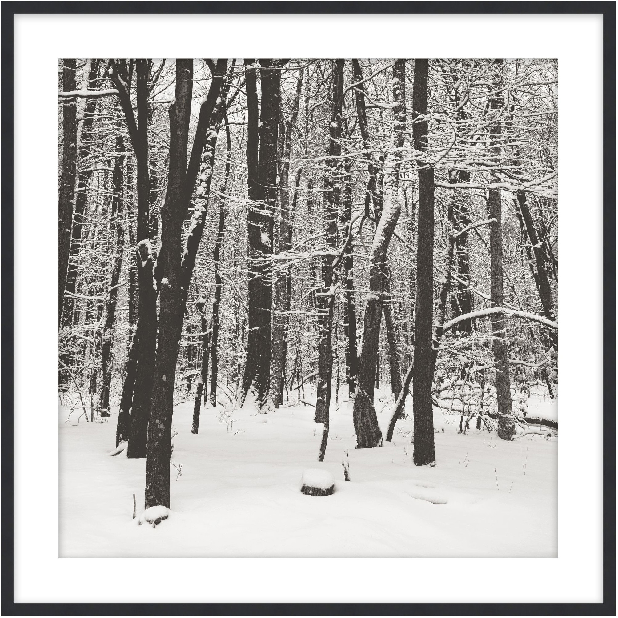 Theodore Alexander Snowscape 5 D3126S62502-5139