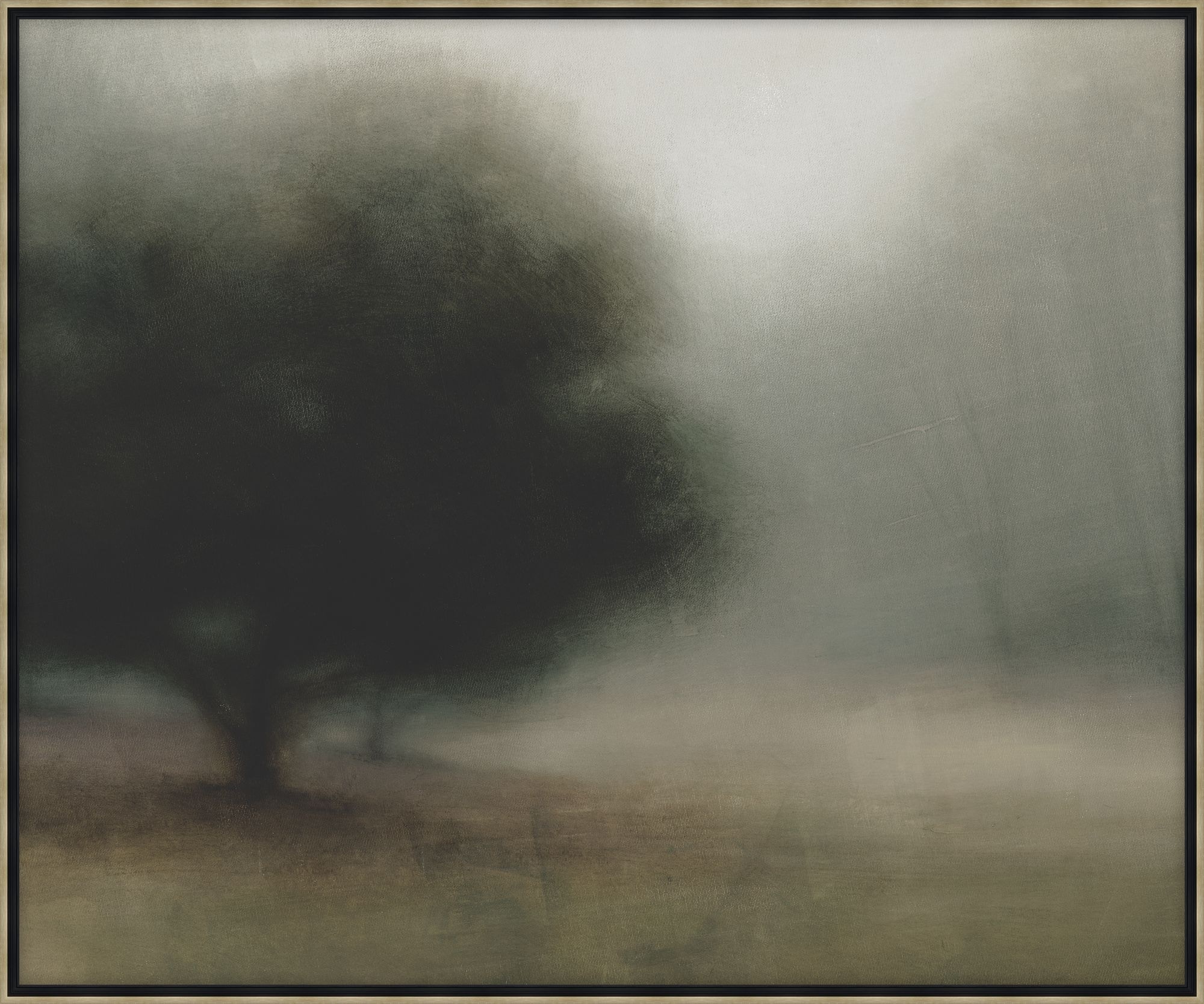 Theodore Alexander Beautiful Haze 1 D3455S69097-5794