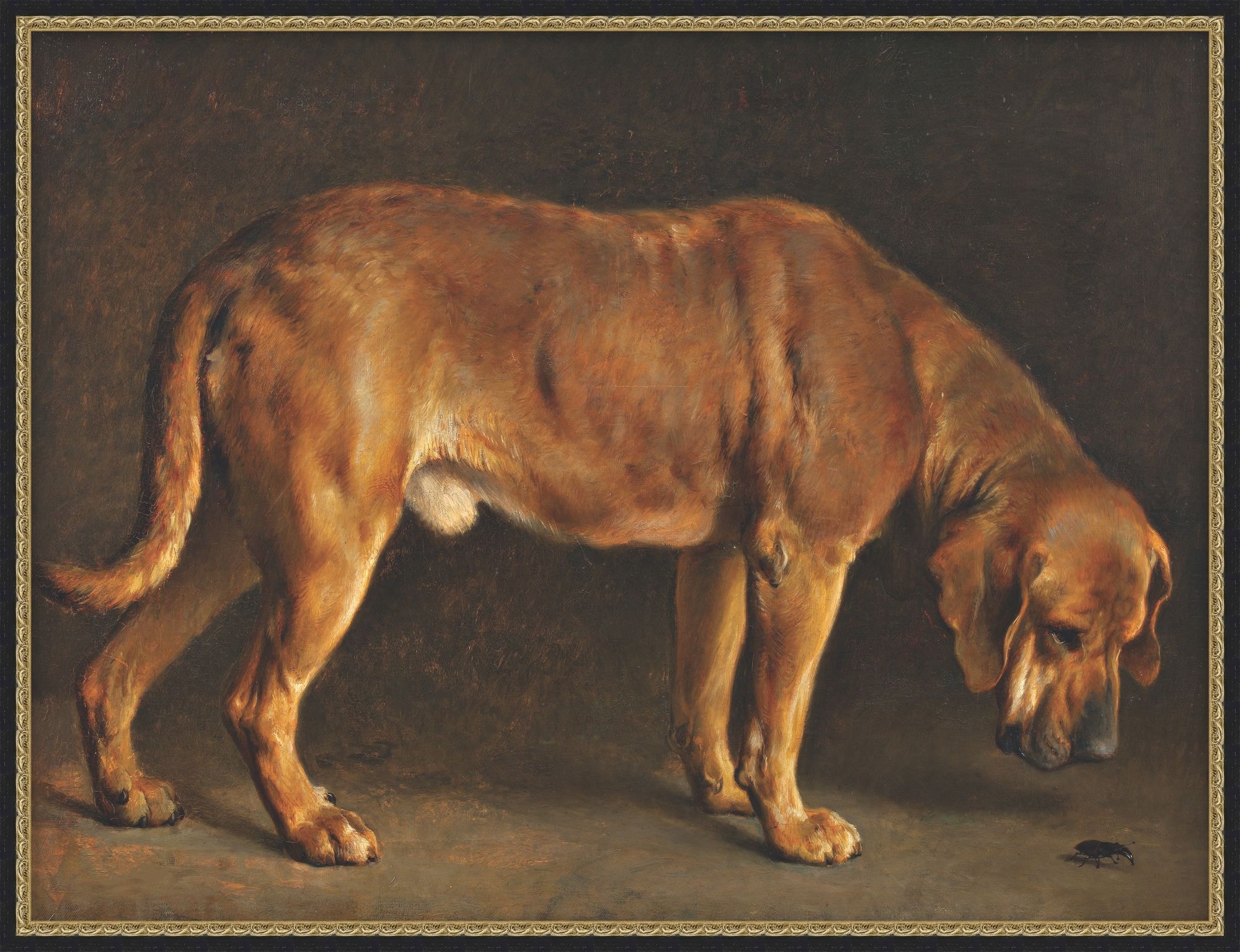 Theodore Alexander Hound And Beetle 1 D3462S69239-5784