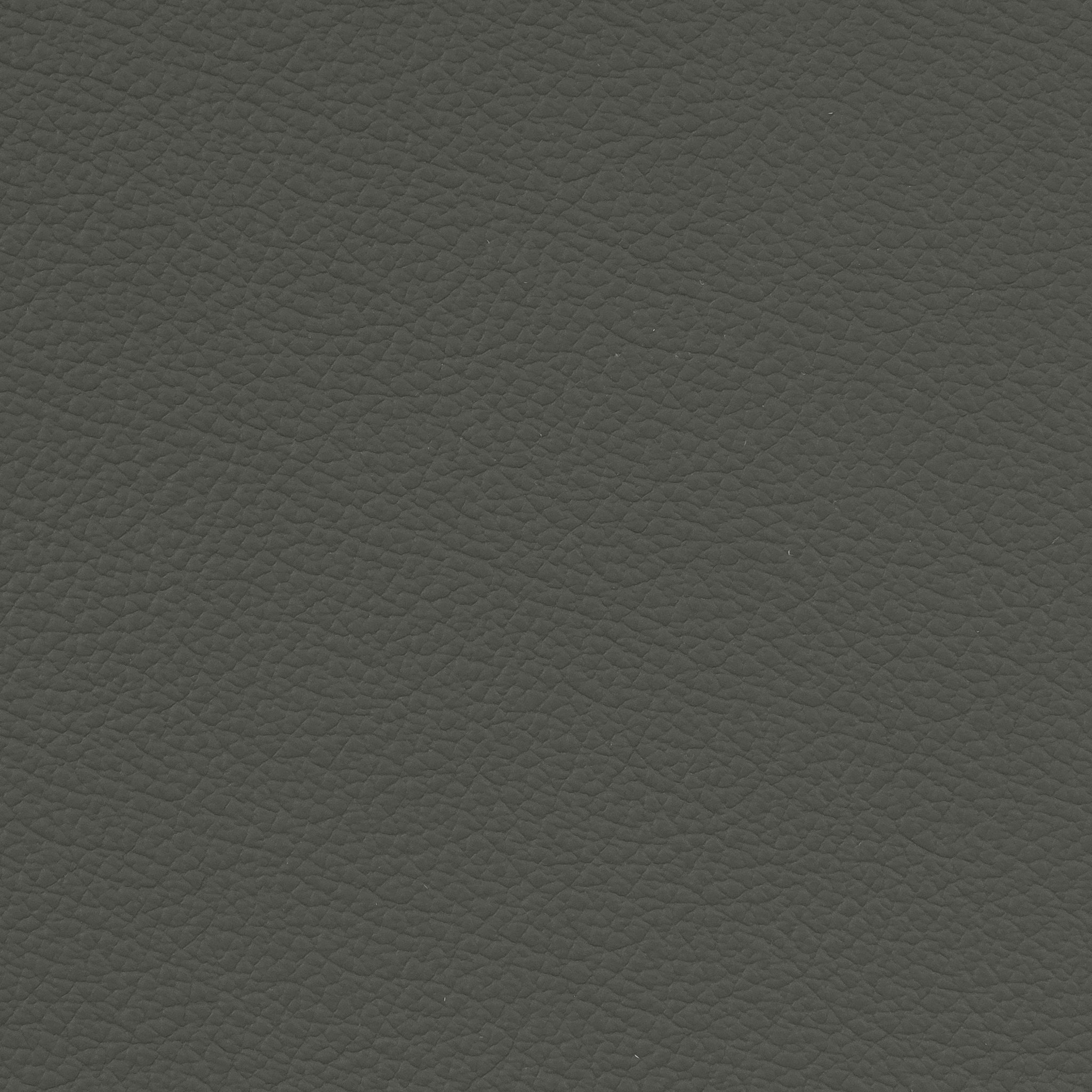 093 89 Thyme Green