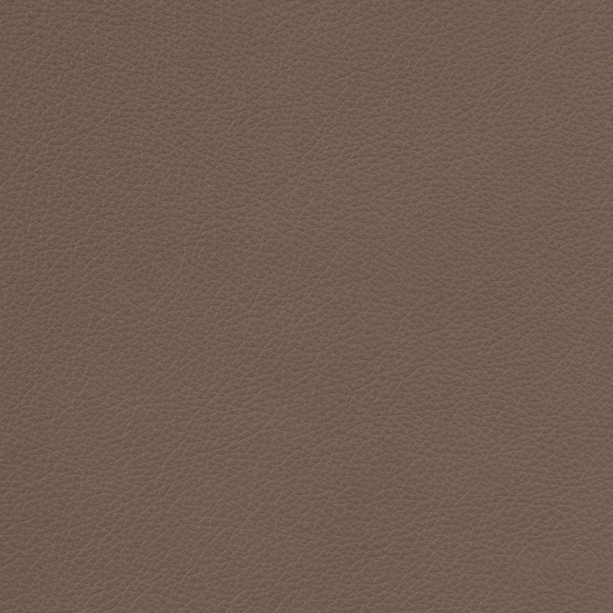 094 44 Dark Mushroom