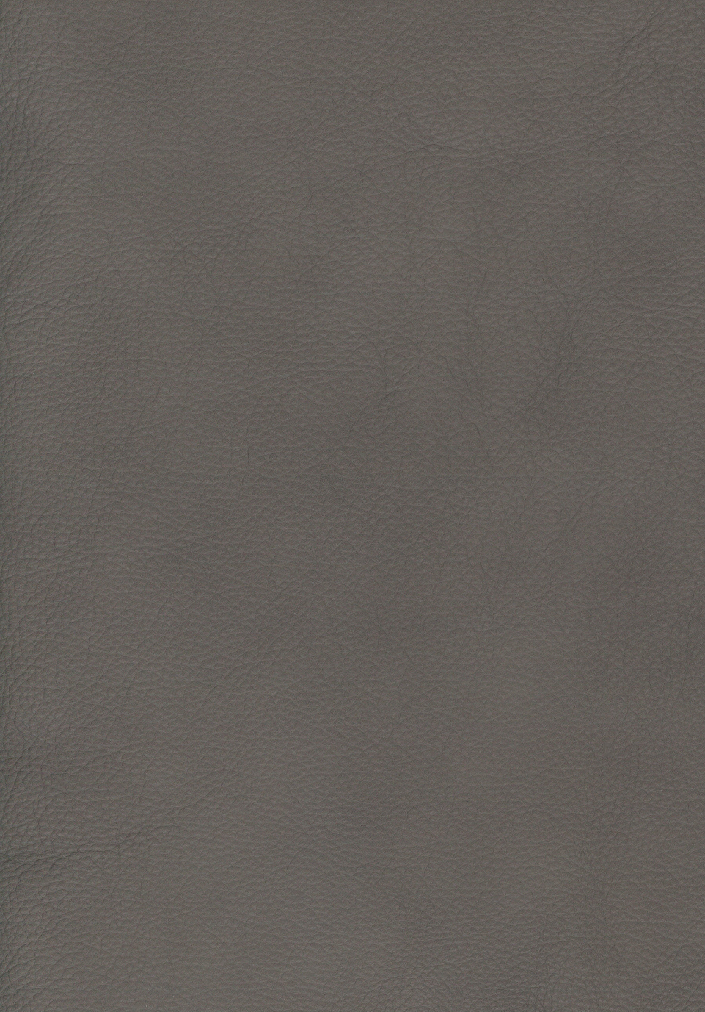 098 12 Grey