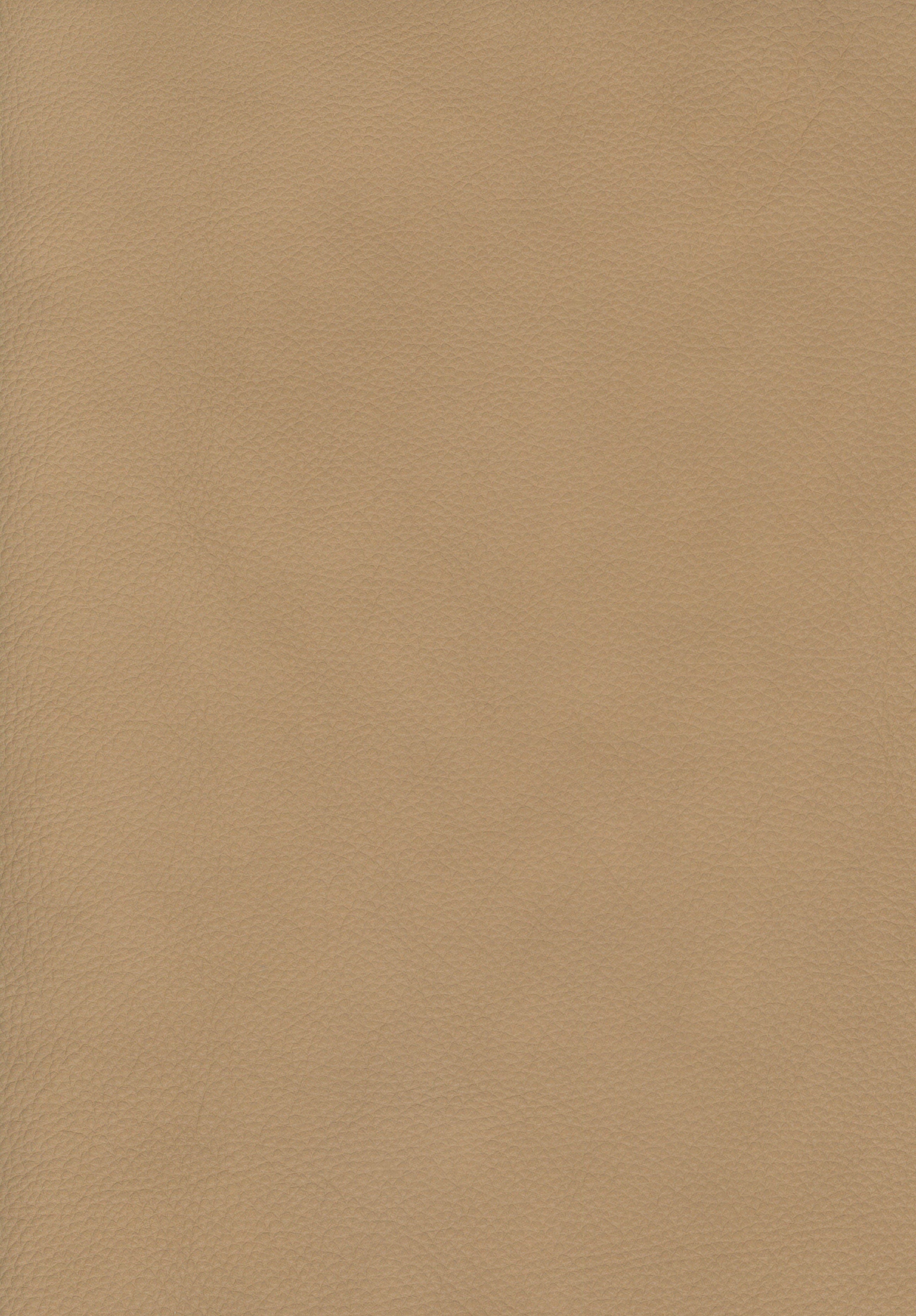 098 20 Beige